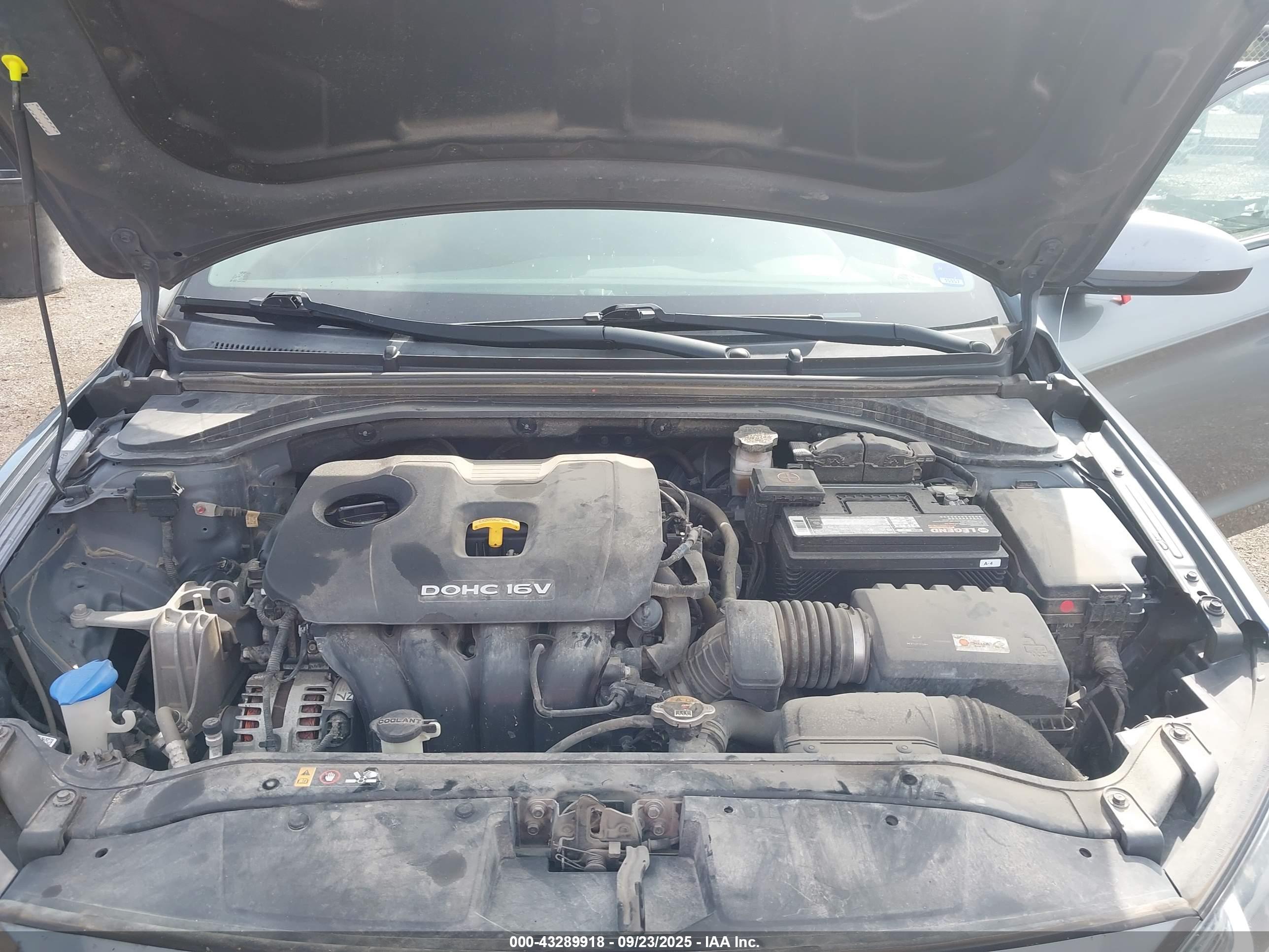 HYUNDAI ELANTRA image 10