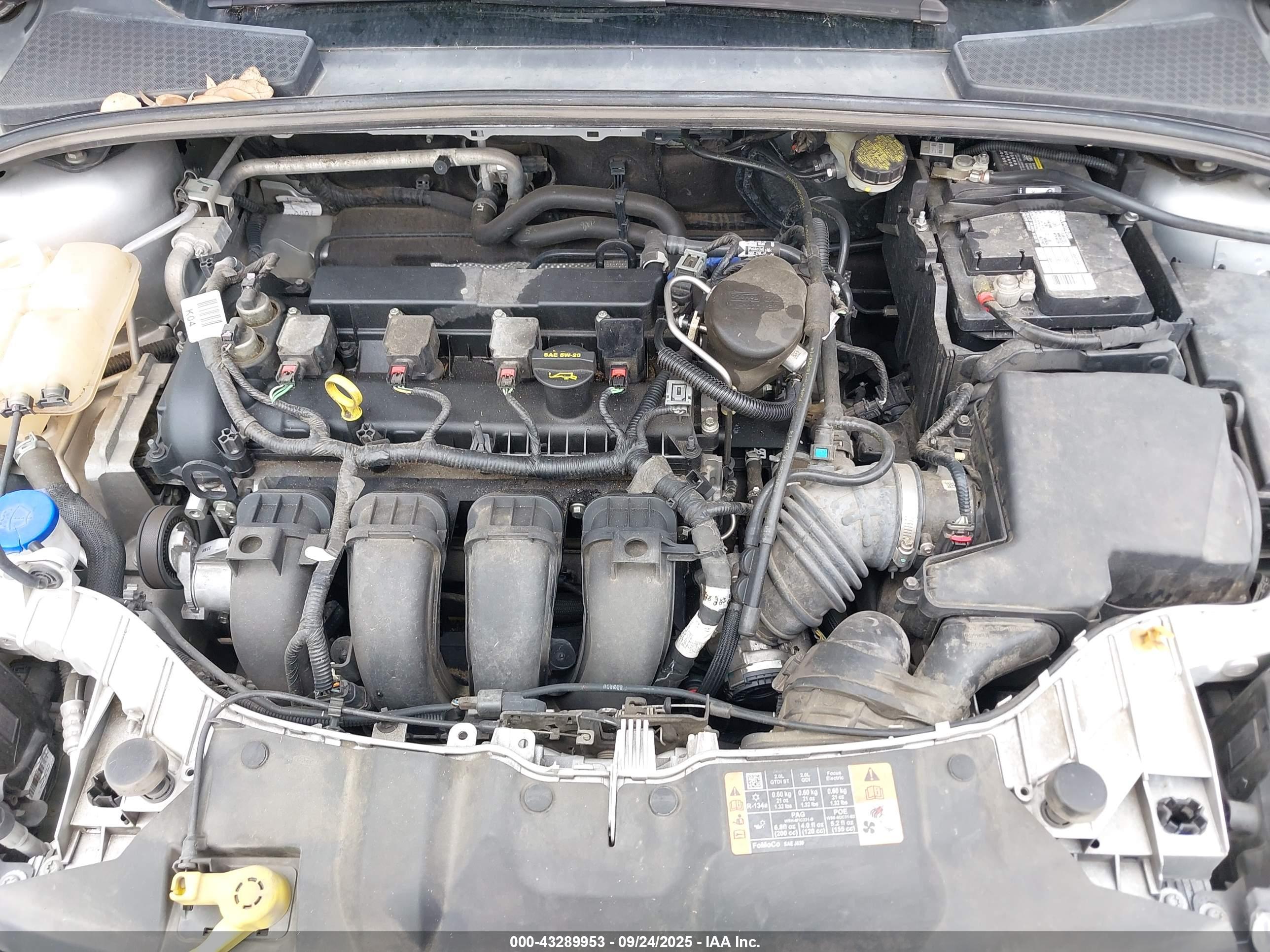 FORD FOCUS image 10