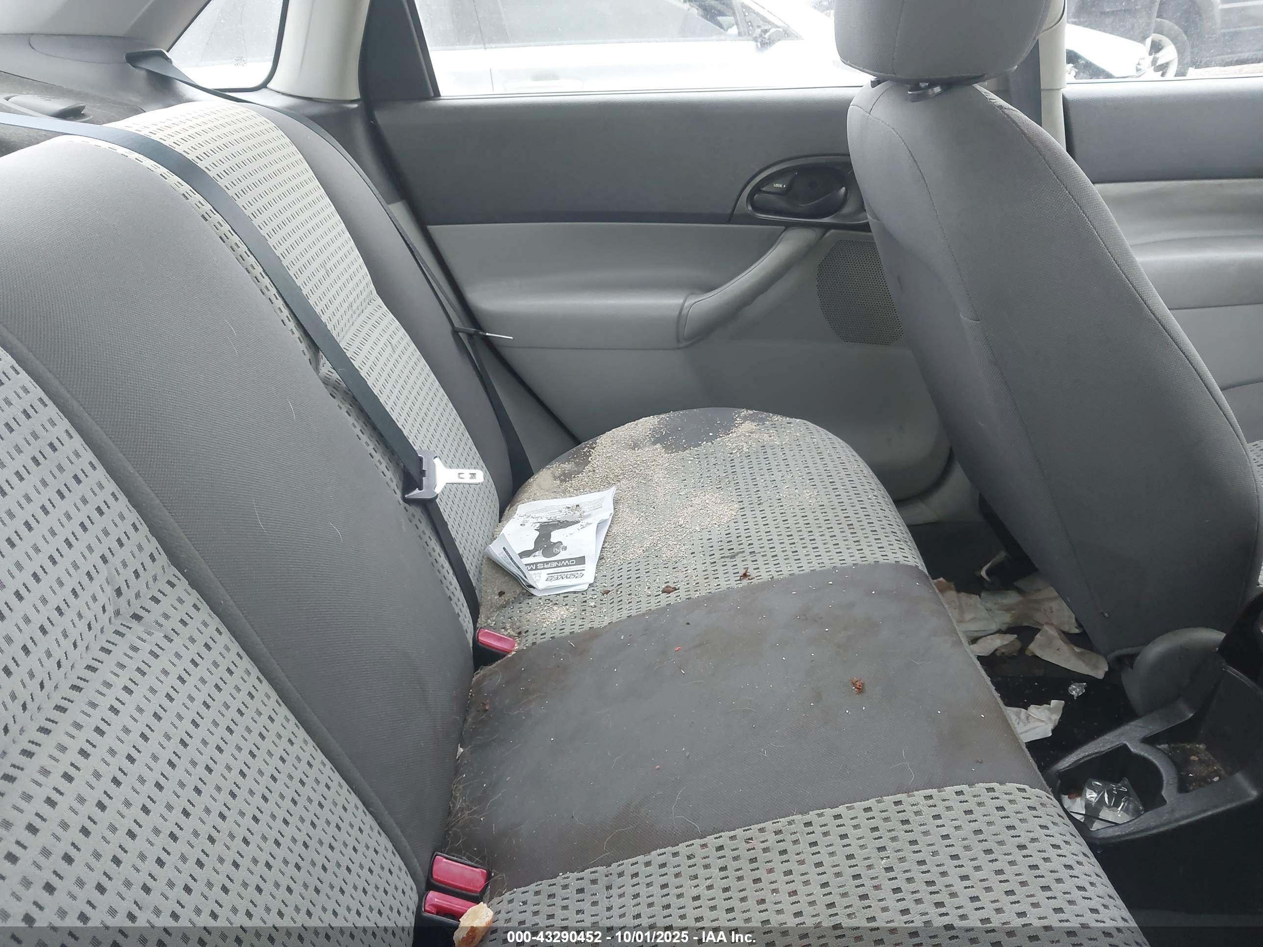 FORD FOCUS image 8