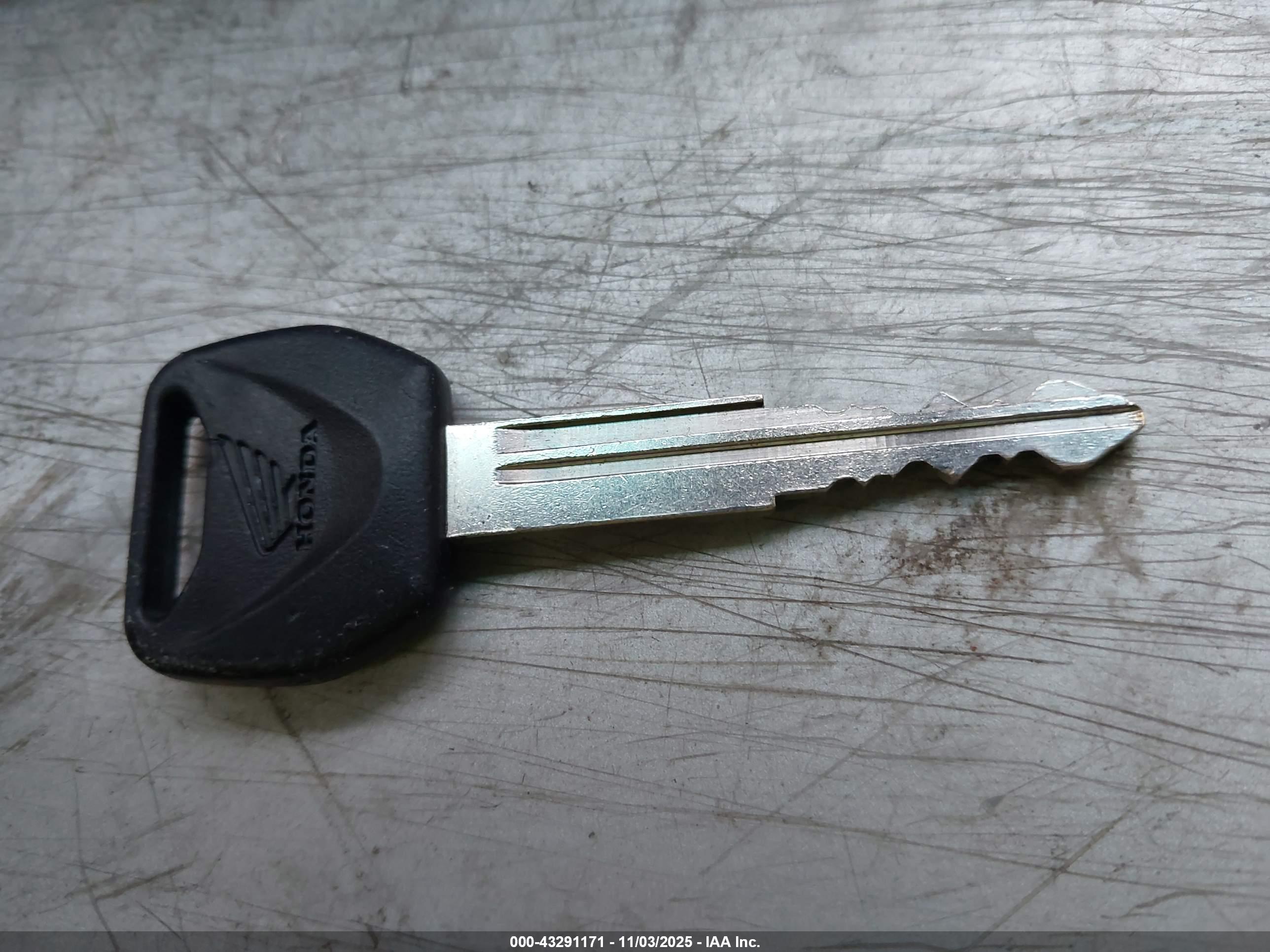 HONDA CMX300 image 11