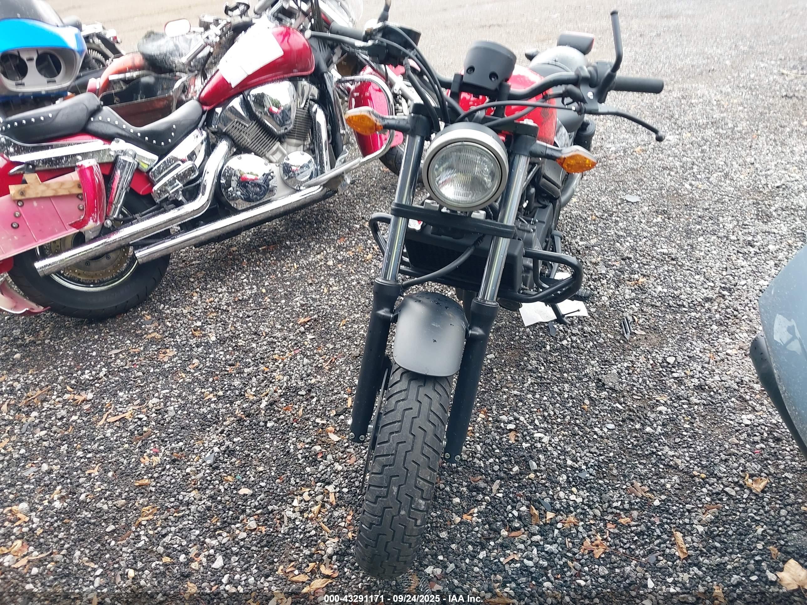 HONDA CMX300 image 5