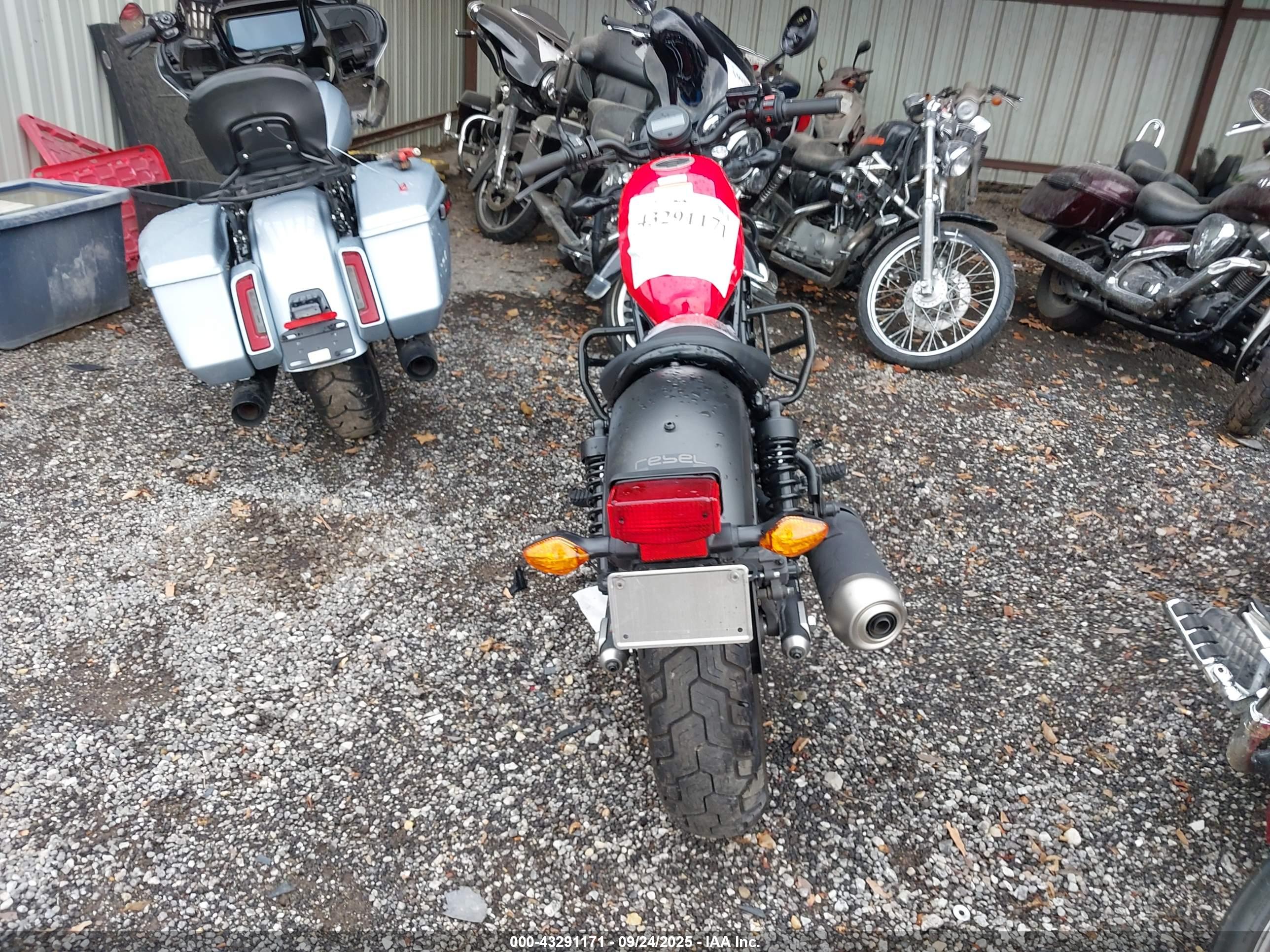 HONDA CMX300 image 6