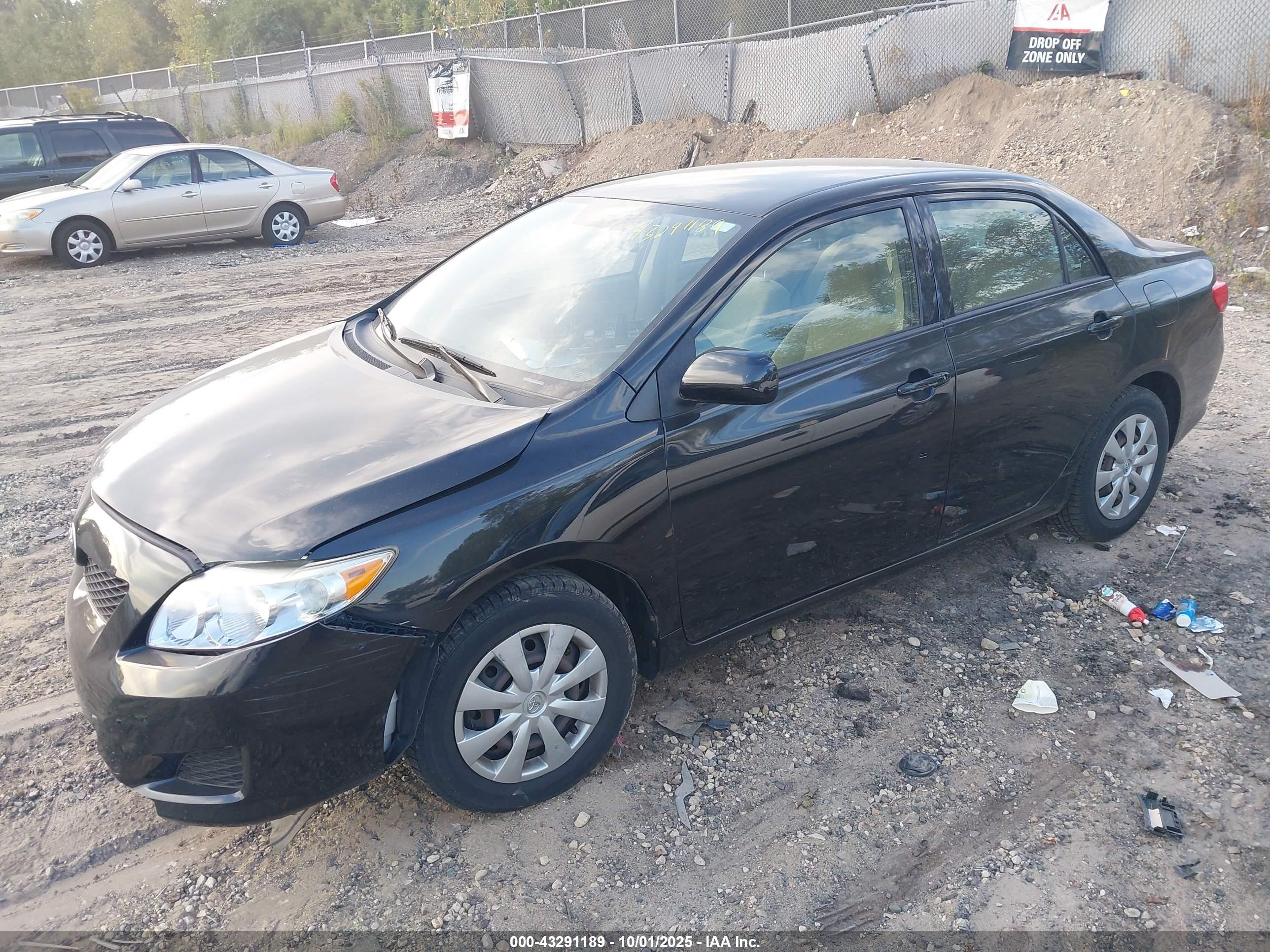 TOYOTA COROLLA image 2