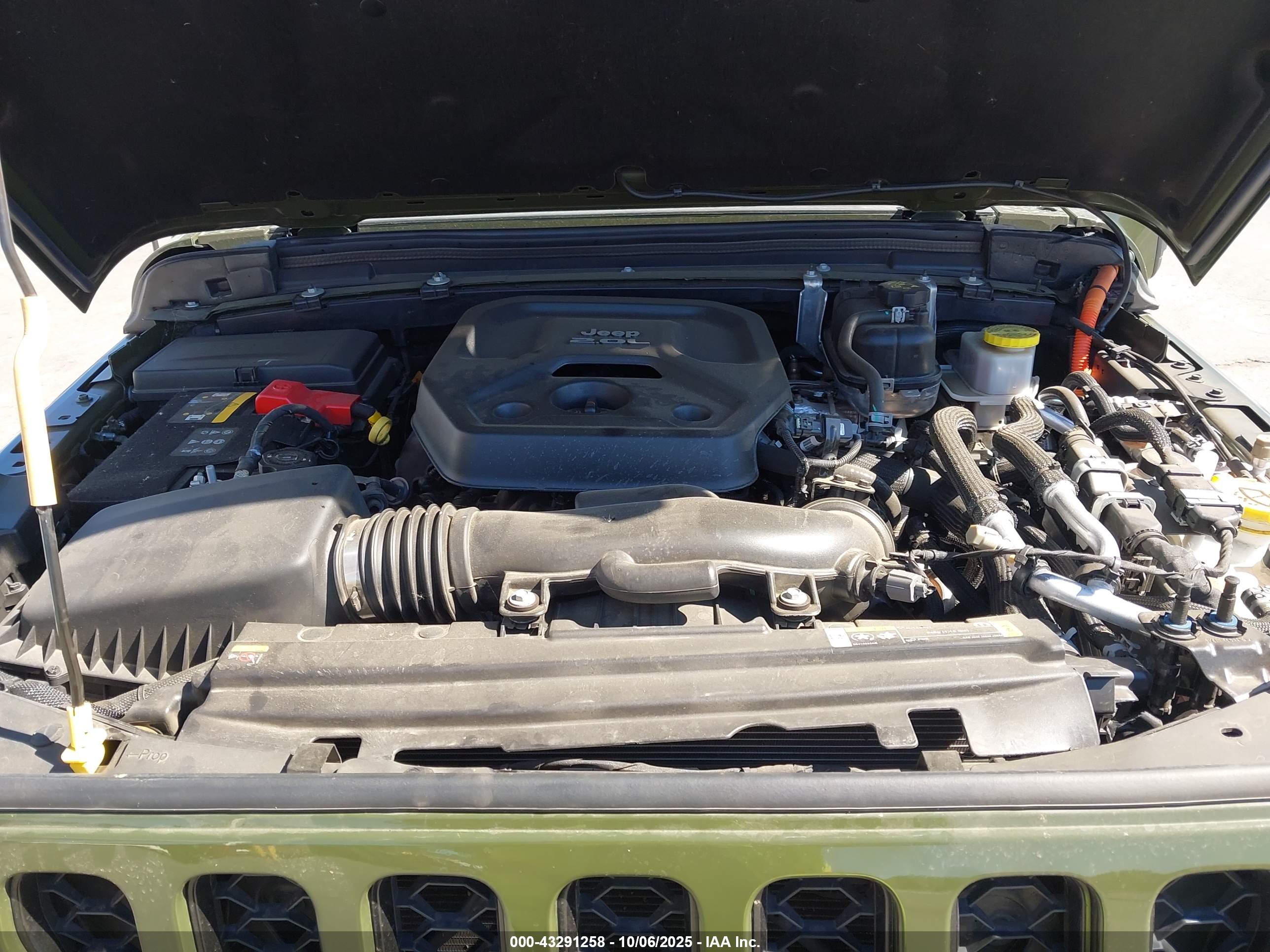 JEEP WRANGLER image 10