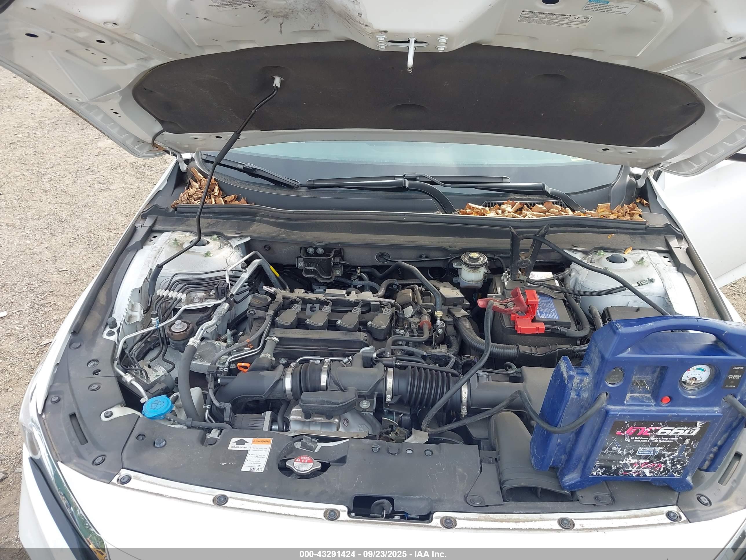HONDA ACCORD image 10