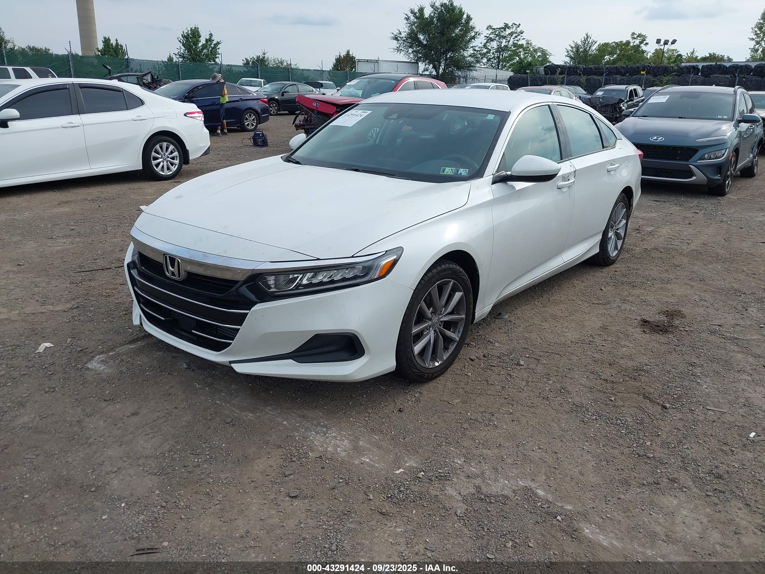 HONDA ACCORD image 2