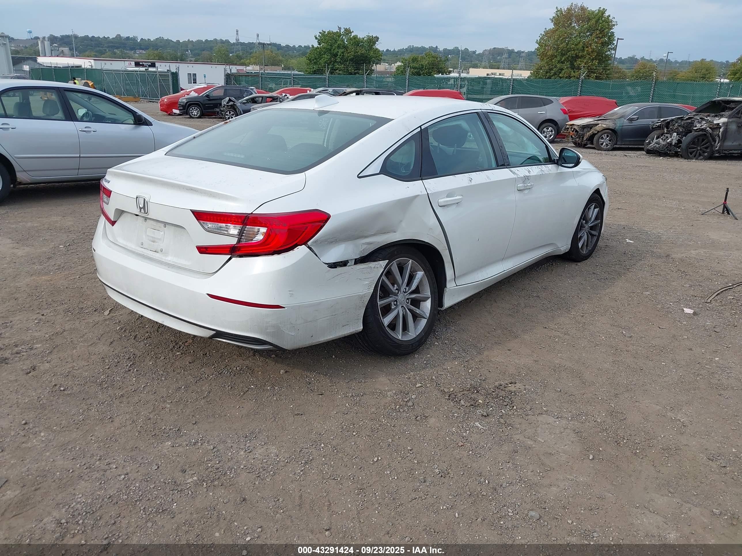 HONDA ACCORD image 4
