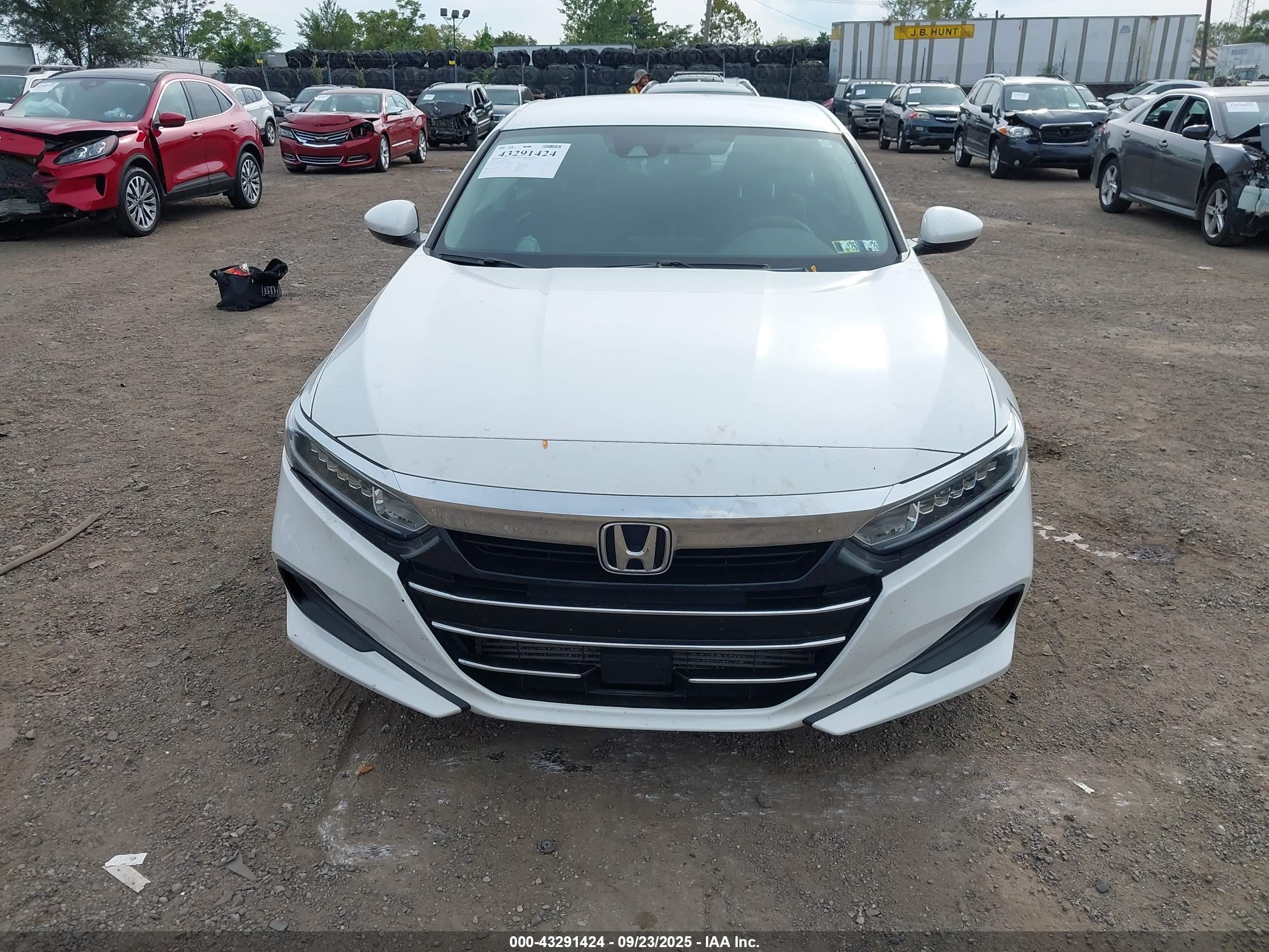 HONDA ACCORD image 6