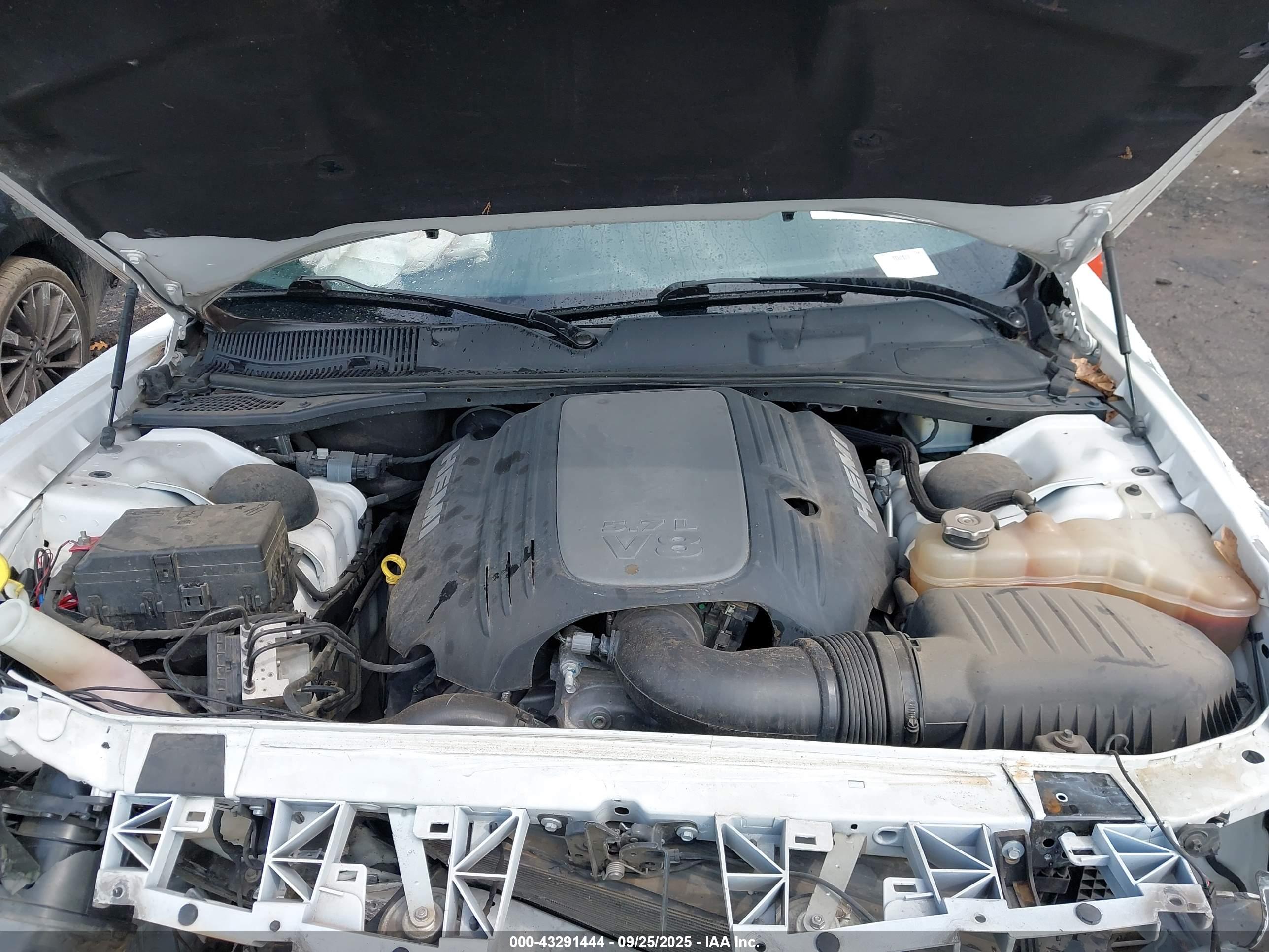 DODGE CHALLENGER image 10