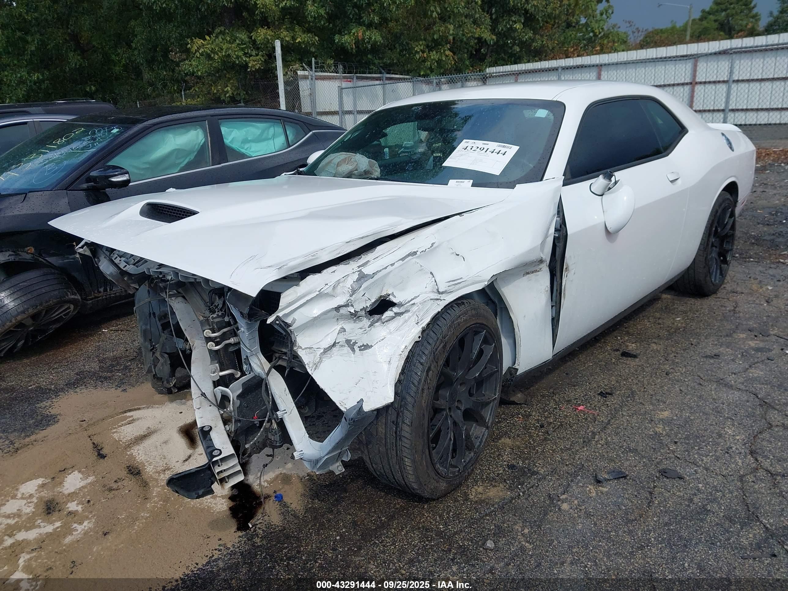 DODGE CHALLENGER image 2