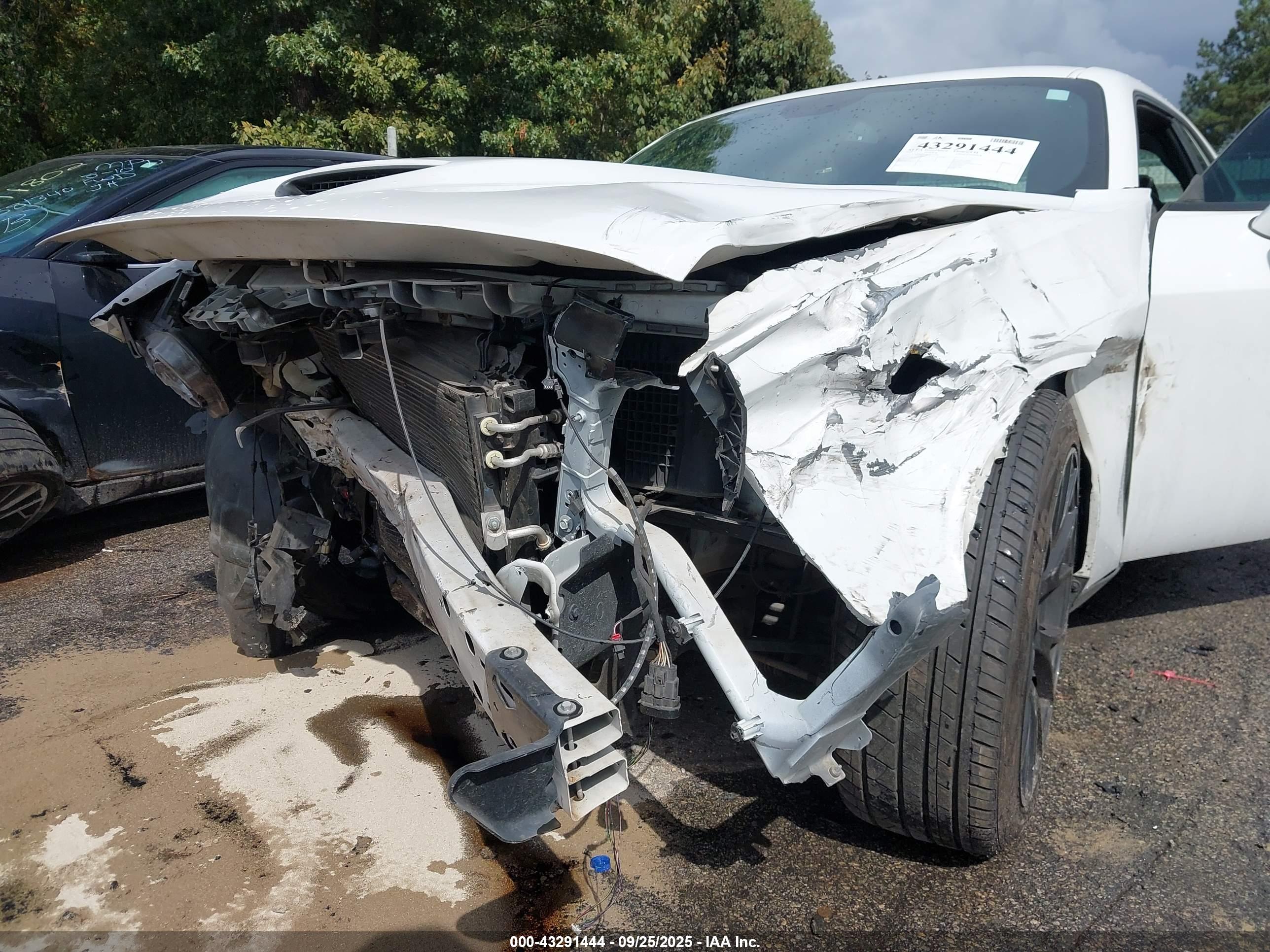 DODGE CHALLENGER image 6