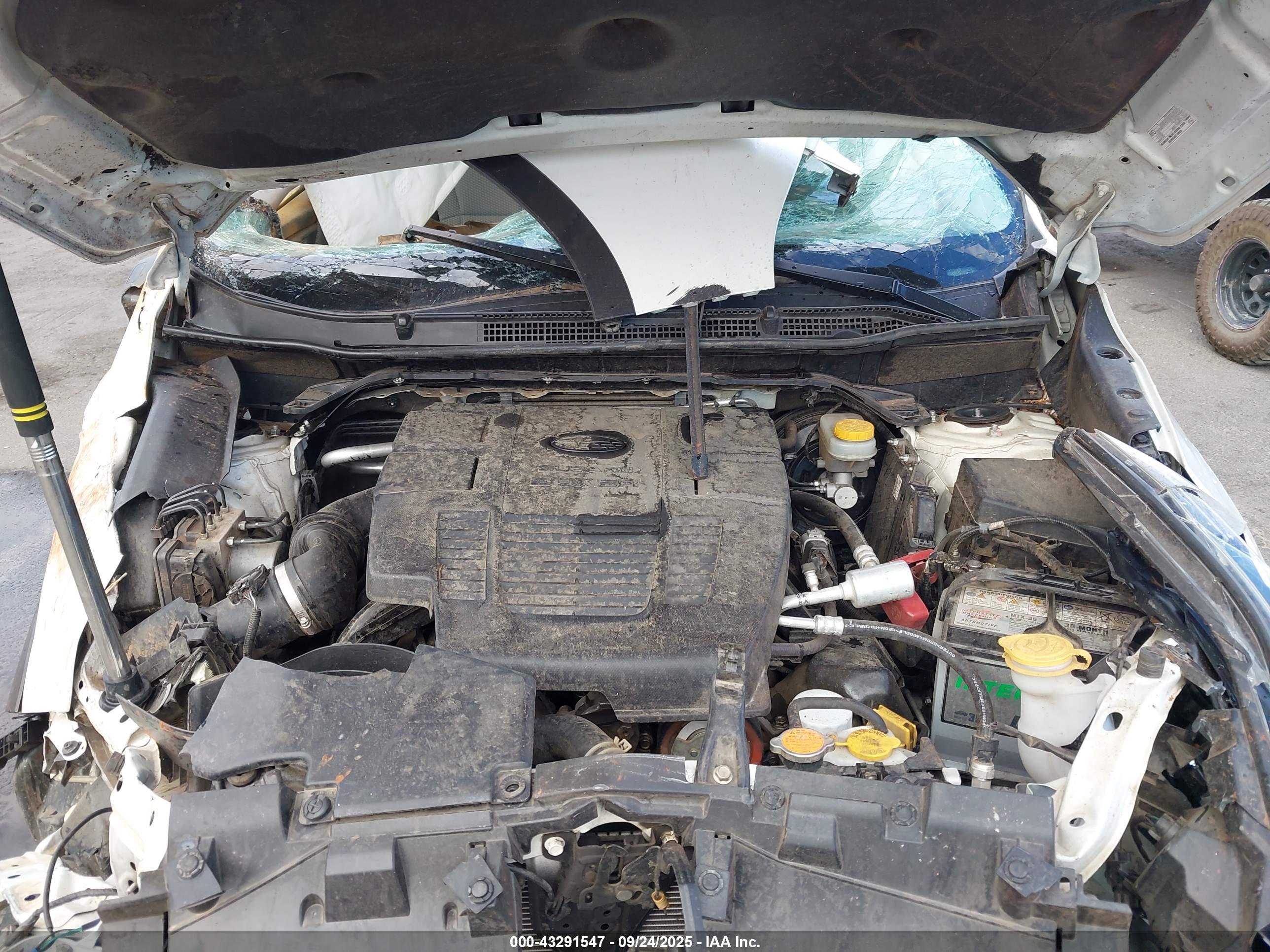 SUBARU FORESTER image 10
