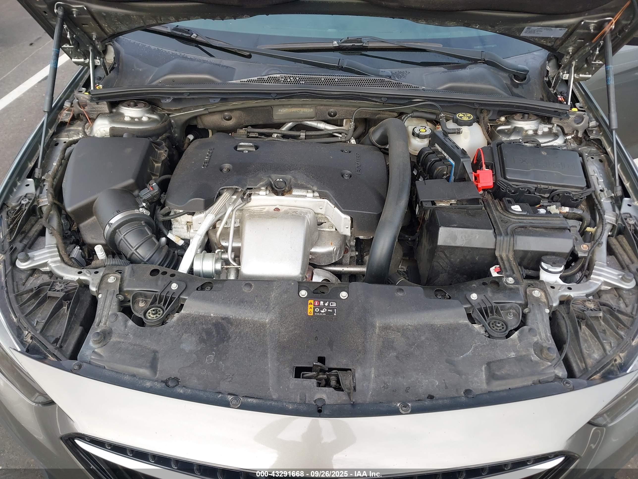 BUICK REGAL image 10
