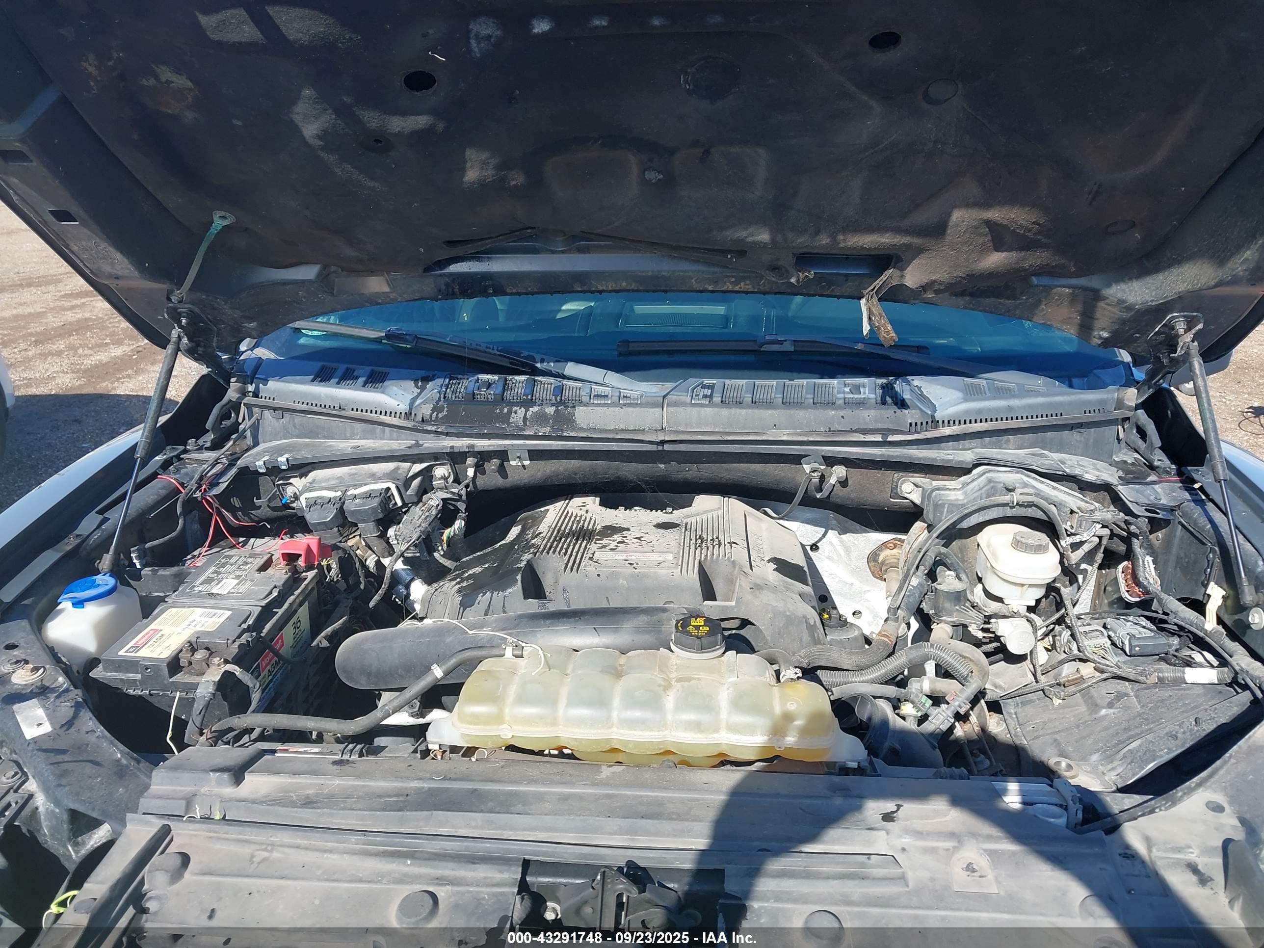 FORD F-150 image 10