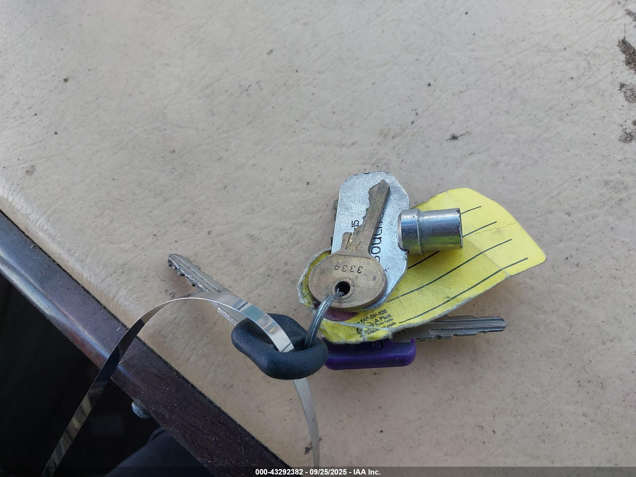 WORKHORSE CUSTOM image 11