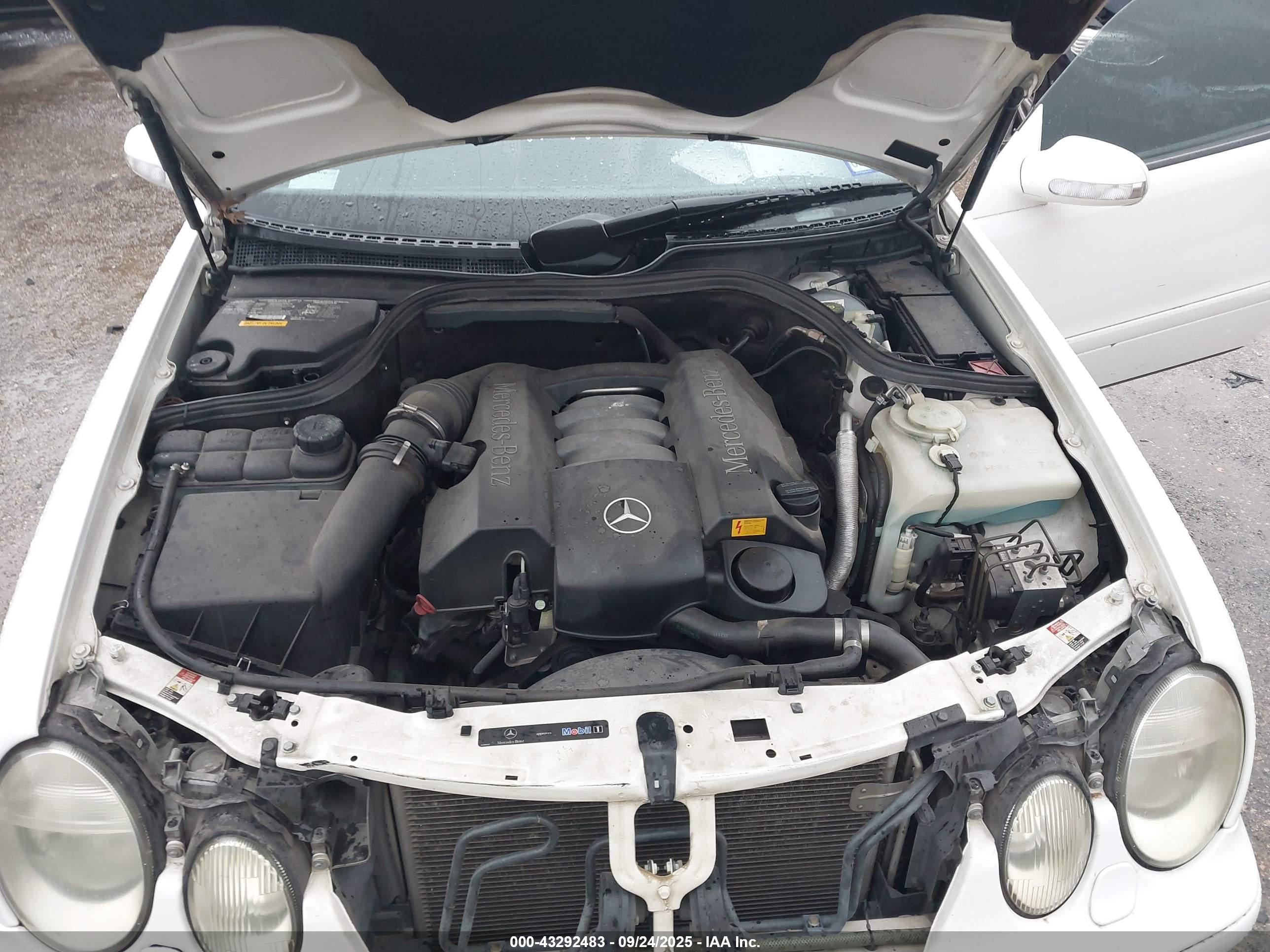 MERCEDES-BENZ CLK image 10
