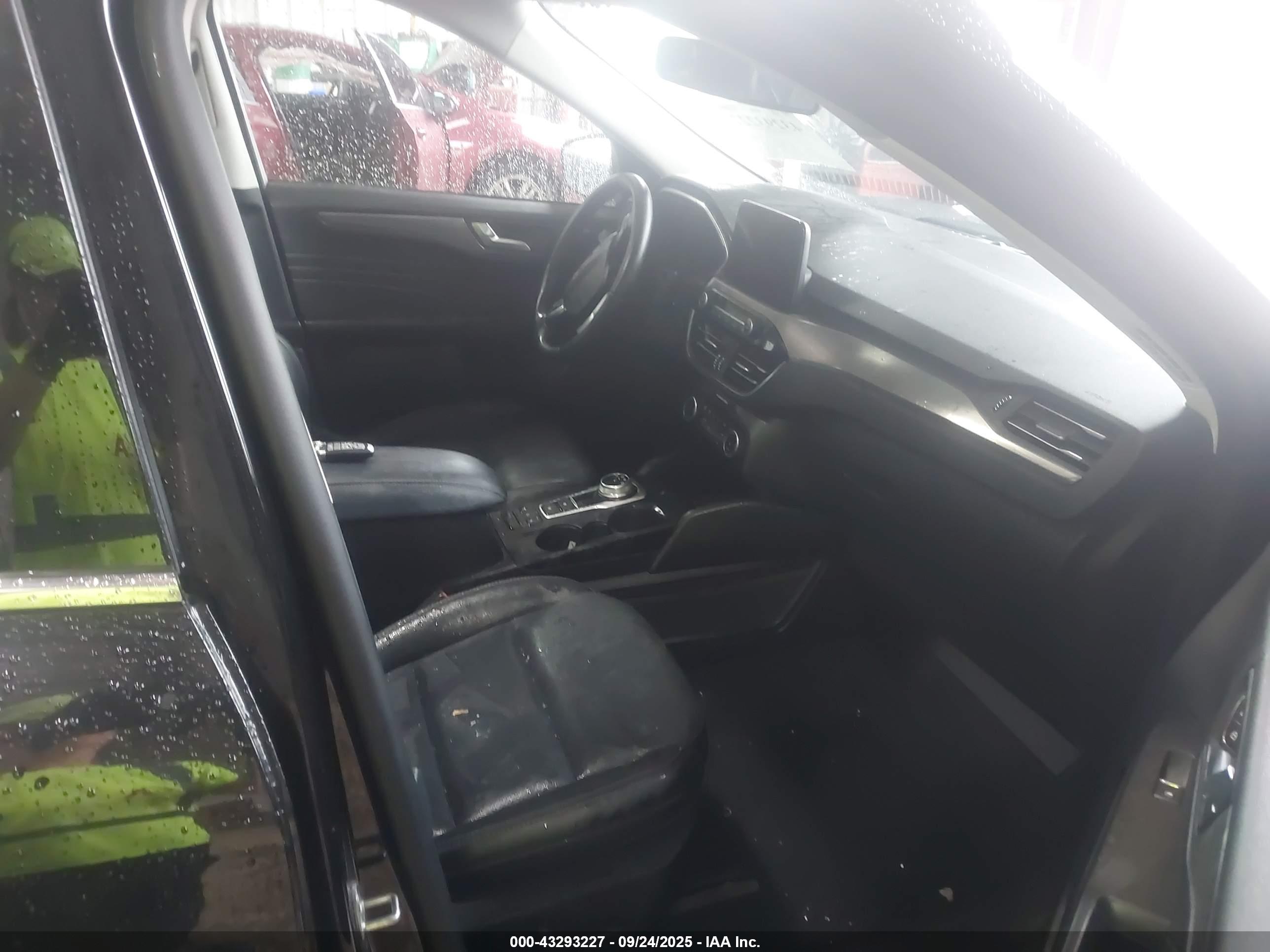 FORD ESCAPE image 5