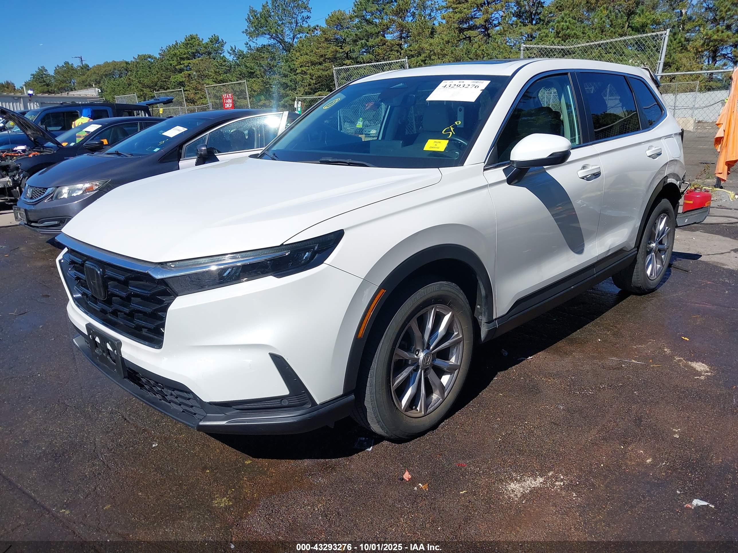 HONDA CR-V image 2