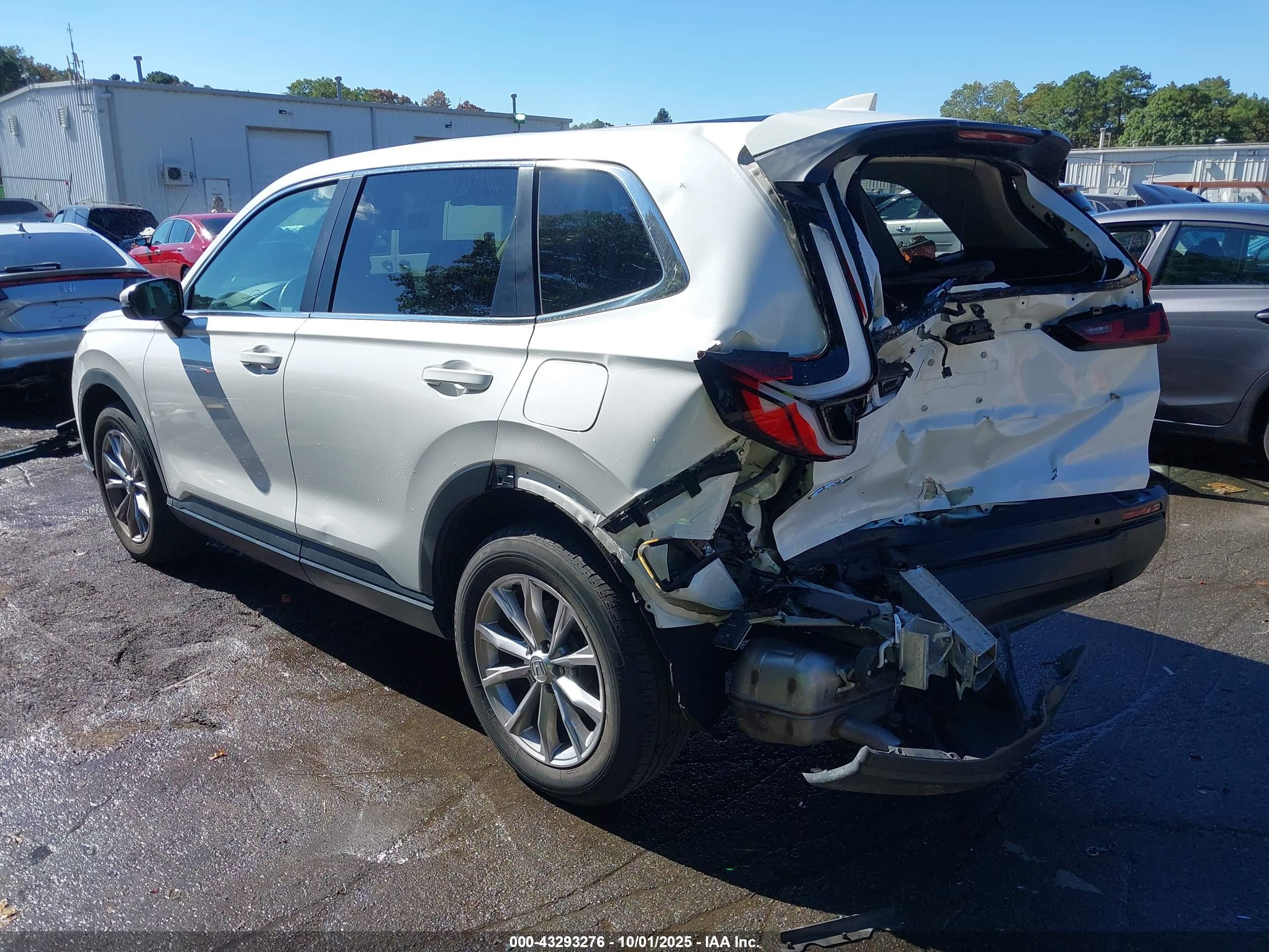 HONDA CR-V image 3