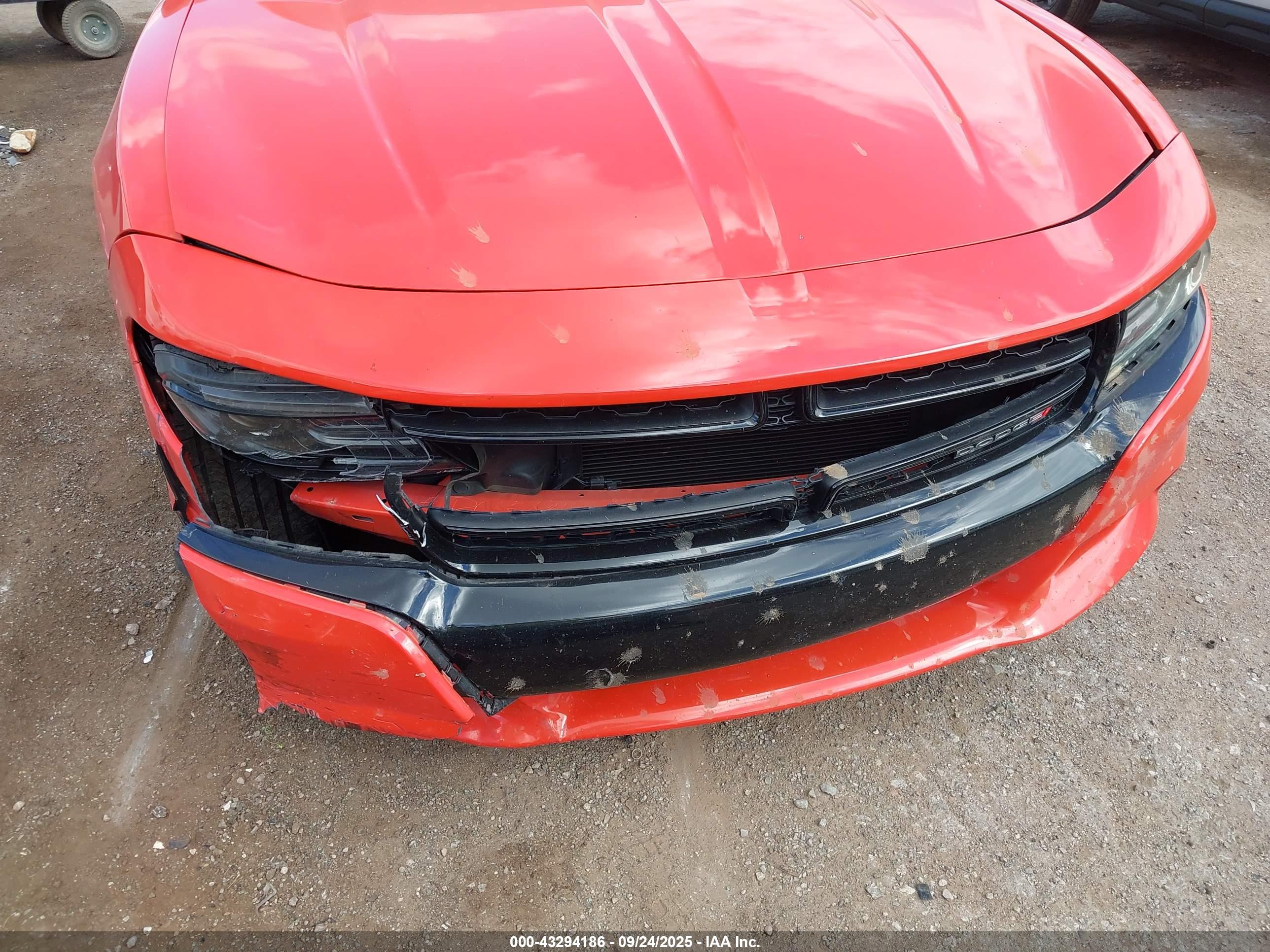 DODGE CHARGER image 6
