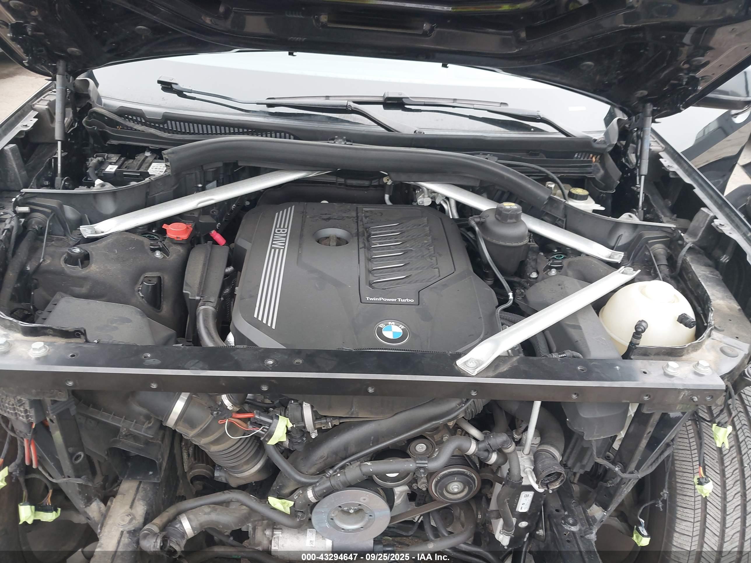 BMW X7 image 10