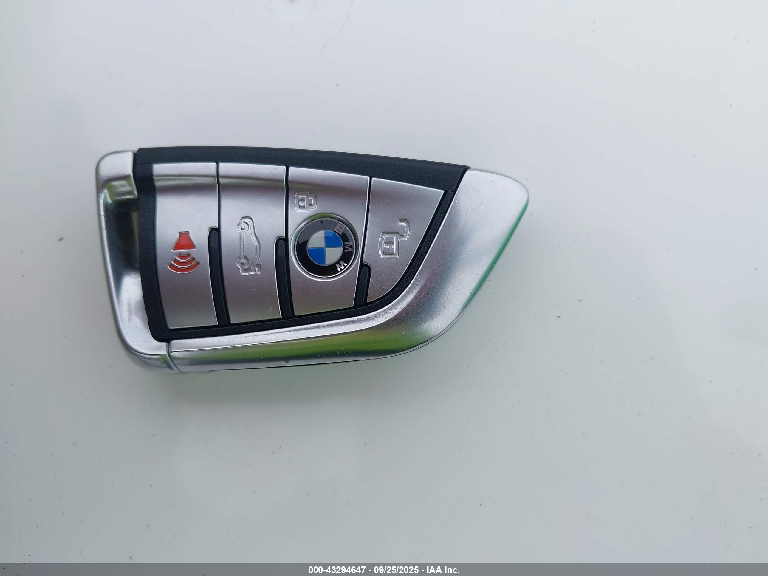 BMW X7 image 11