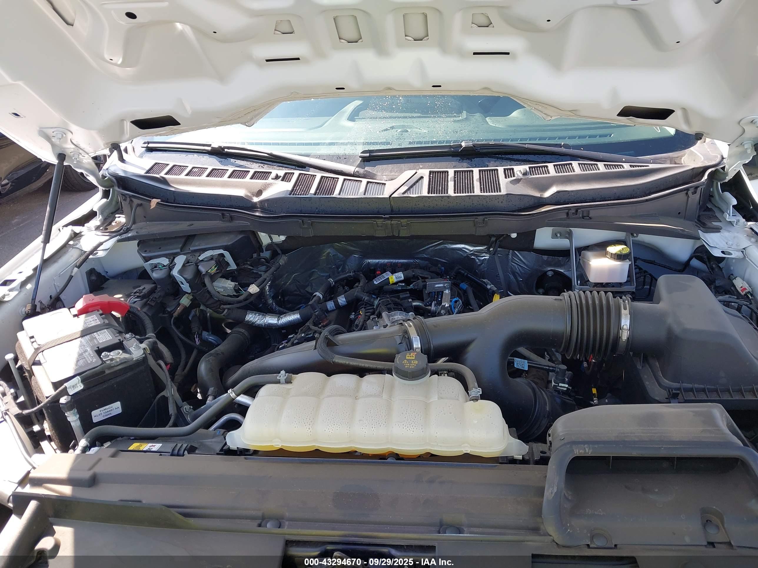 FORD F-150 image 10