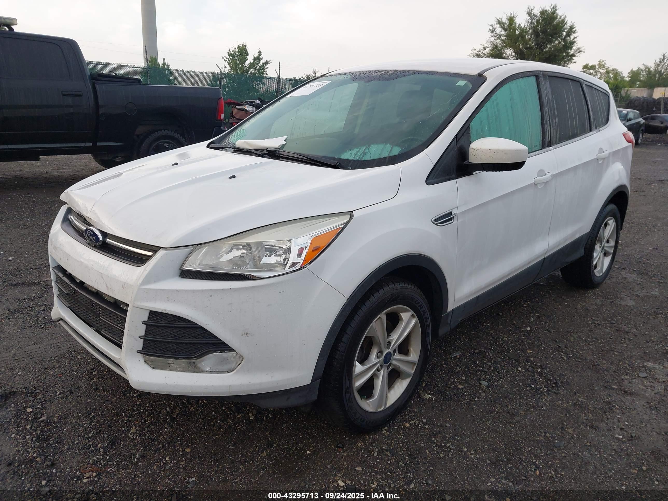 FORD ESCAPE image 2