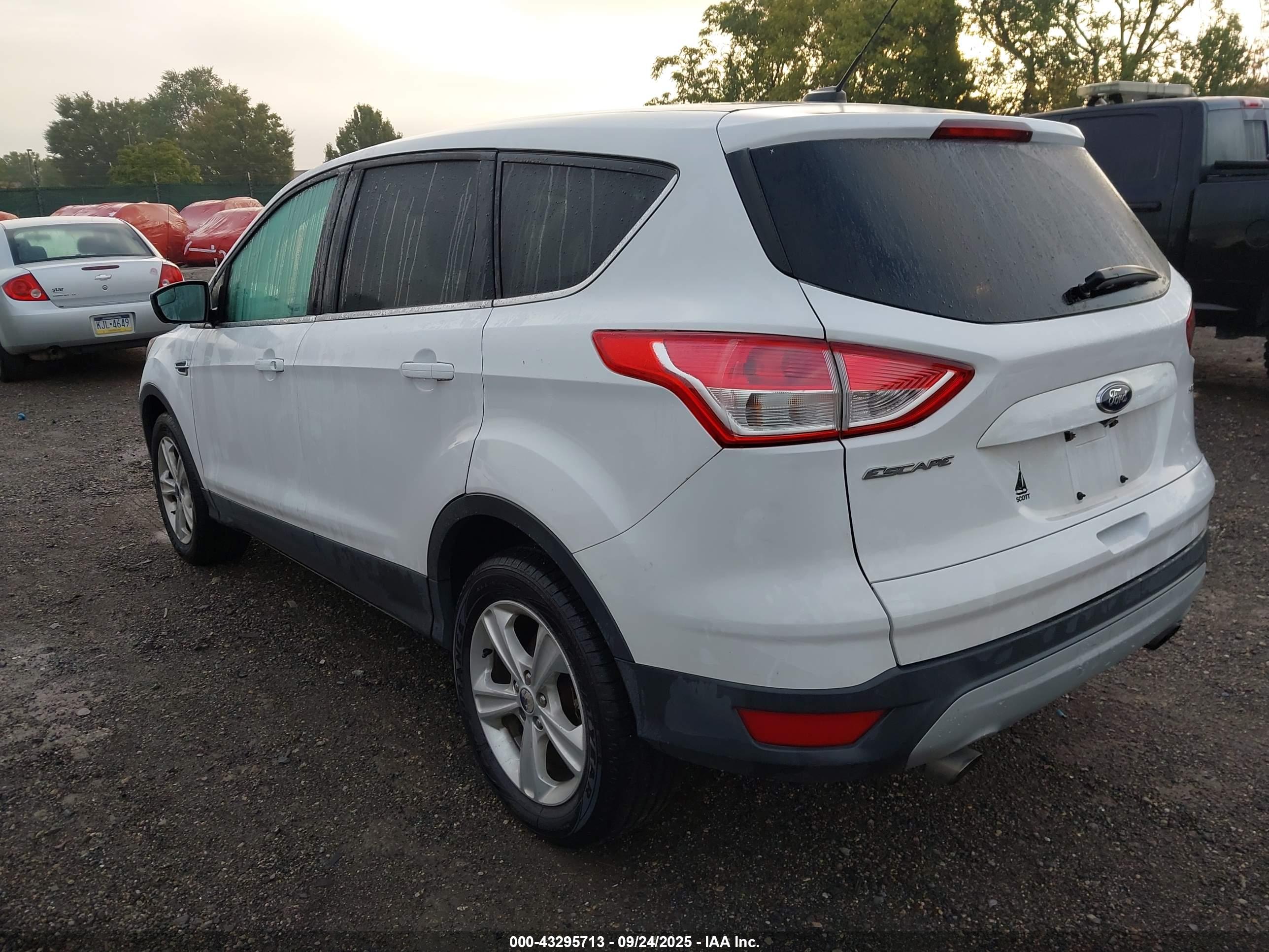 FORD ESCAPE image 3