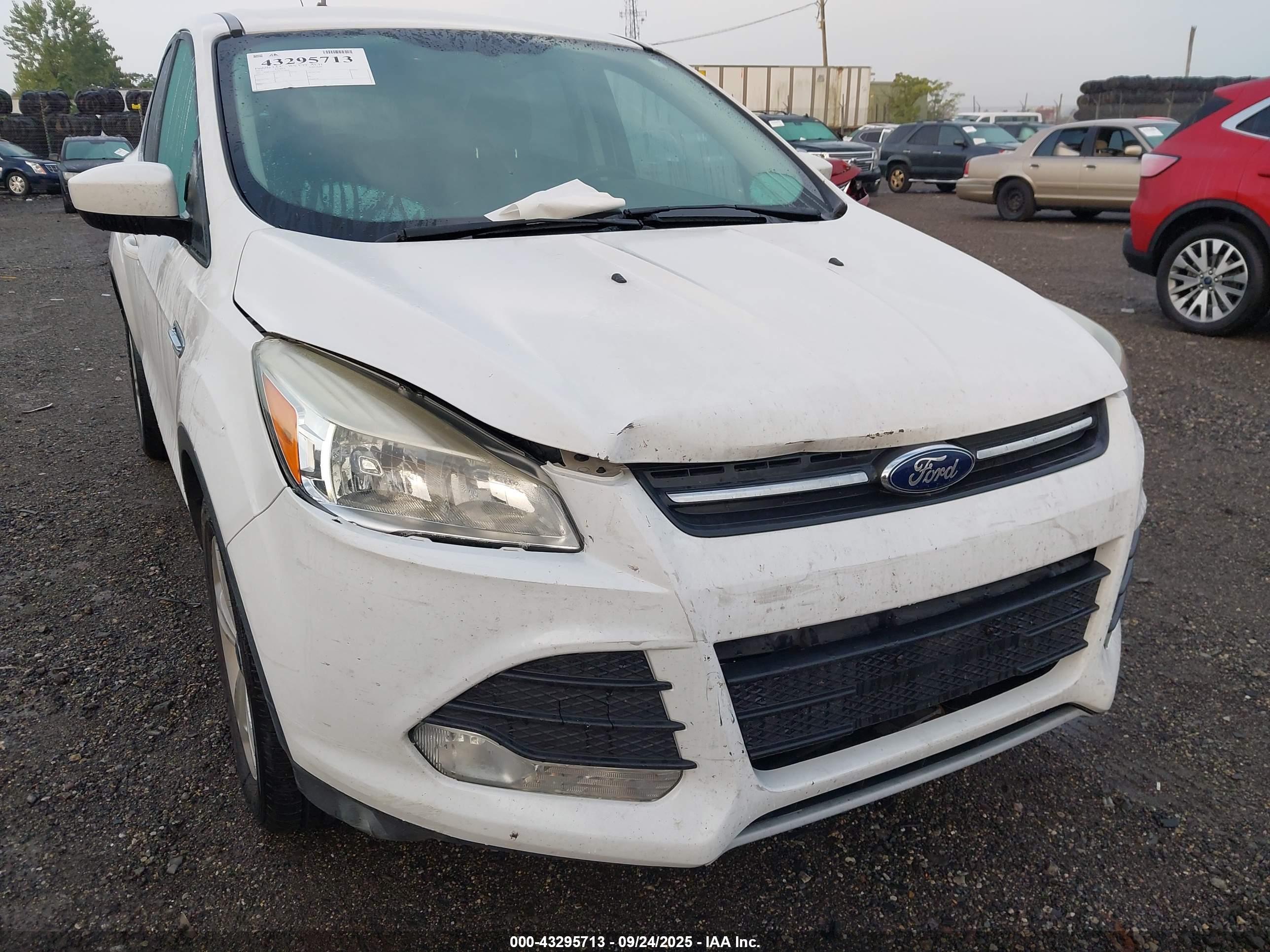 FORD ESCAPE image 6