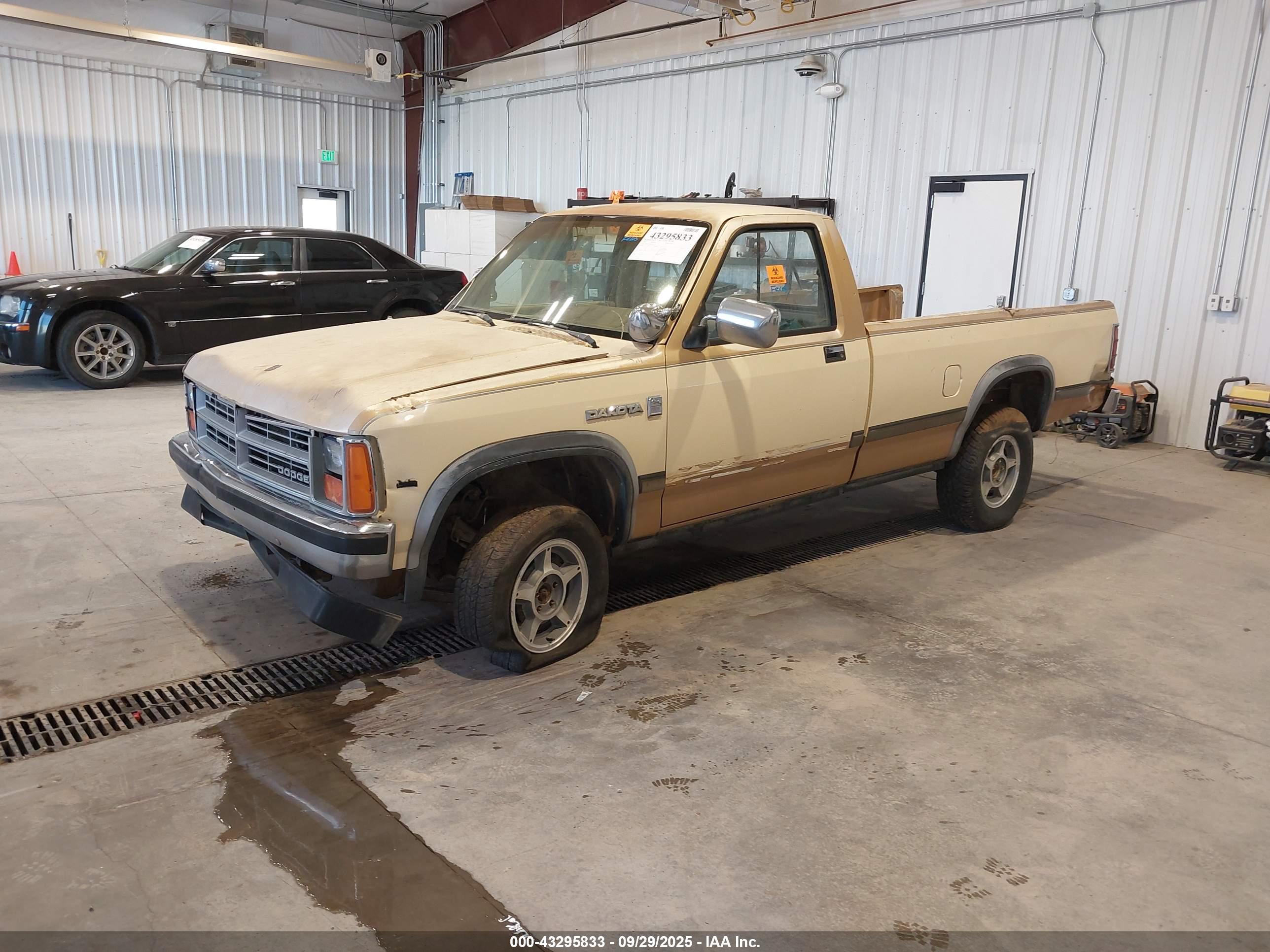 DODGE DAKOTA image 2