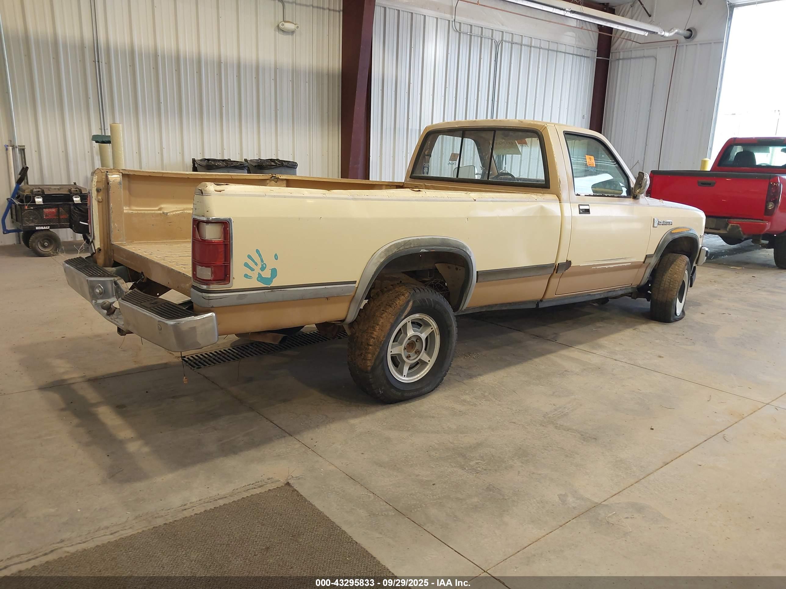 DODGE DAKOTA image 4
