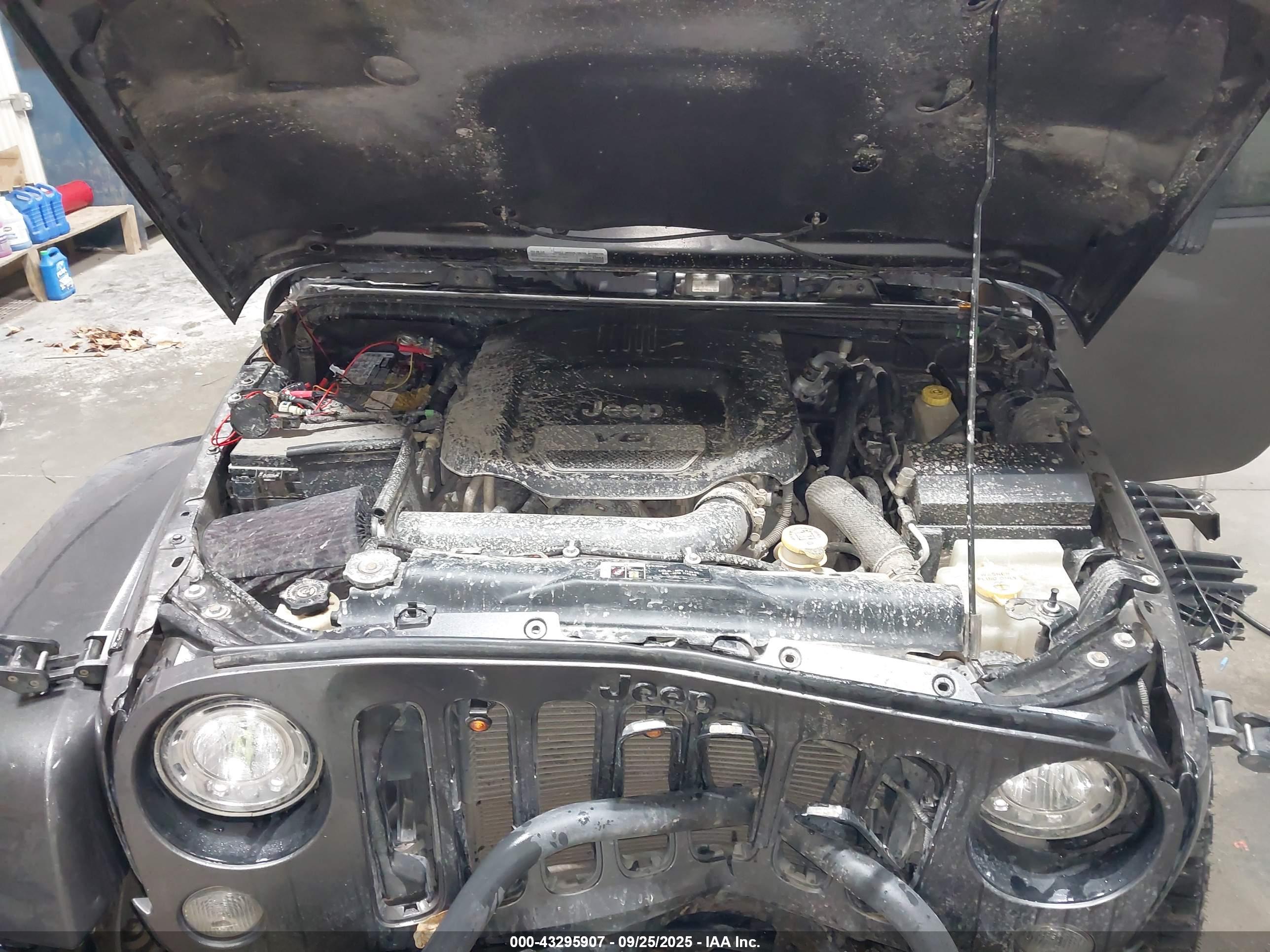 JEEP WRANGLER image 10