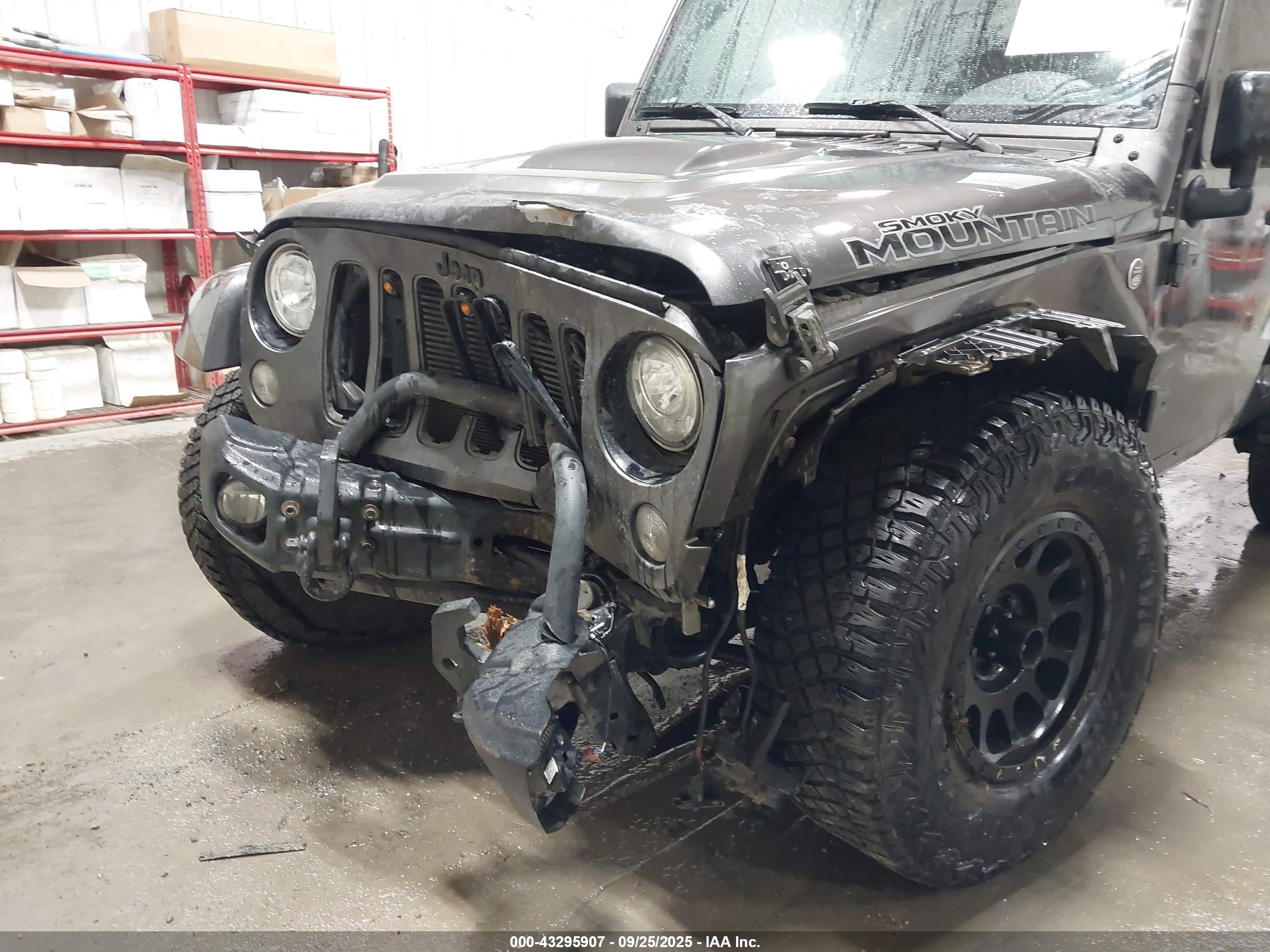 JEEP WRANGLER image 6