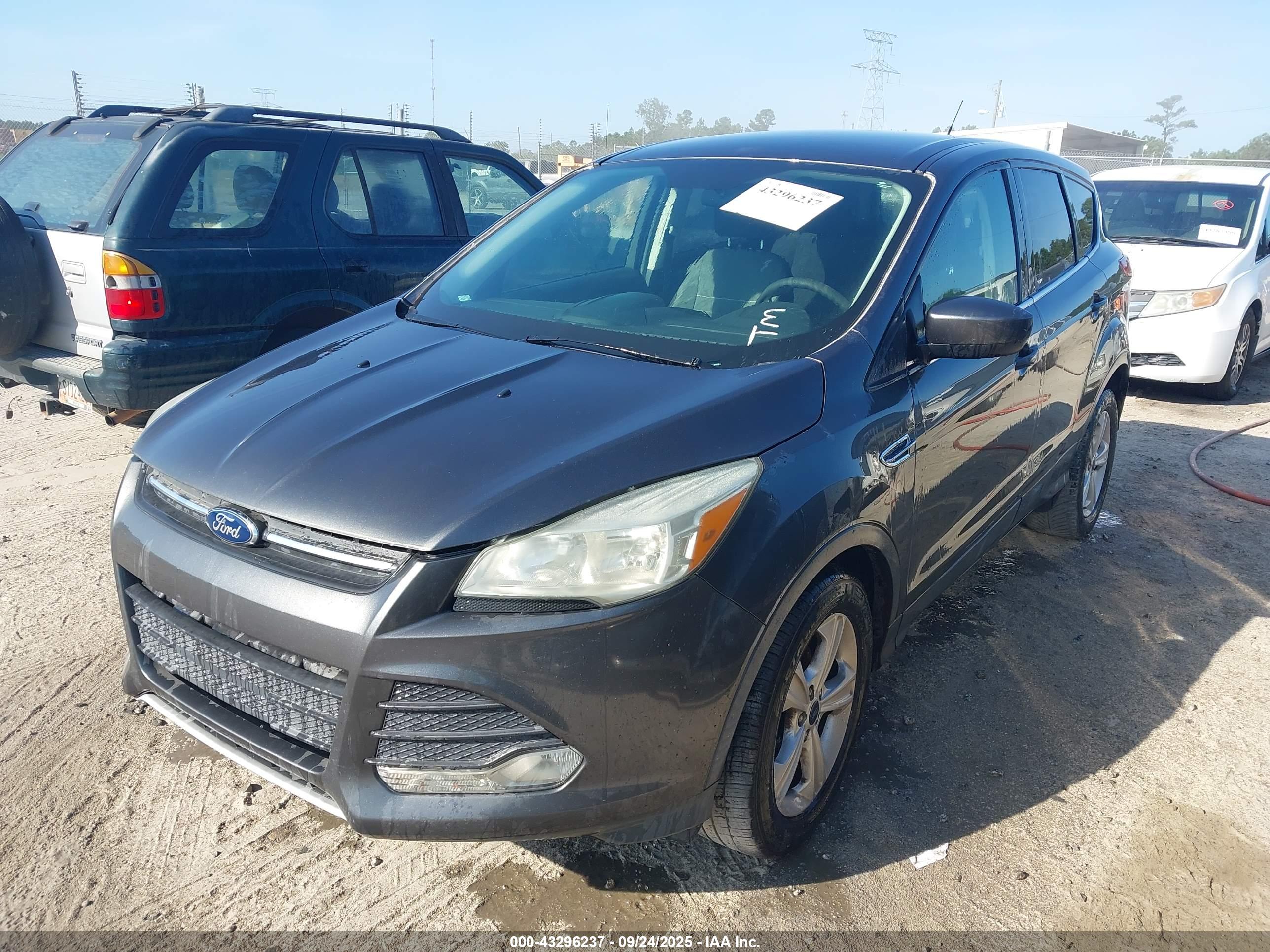 FORD ESCAPE image 2