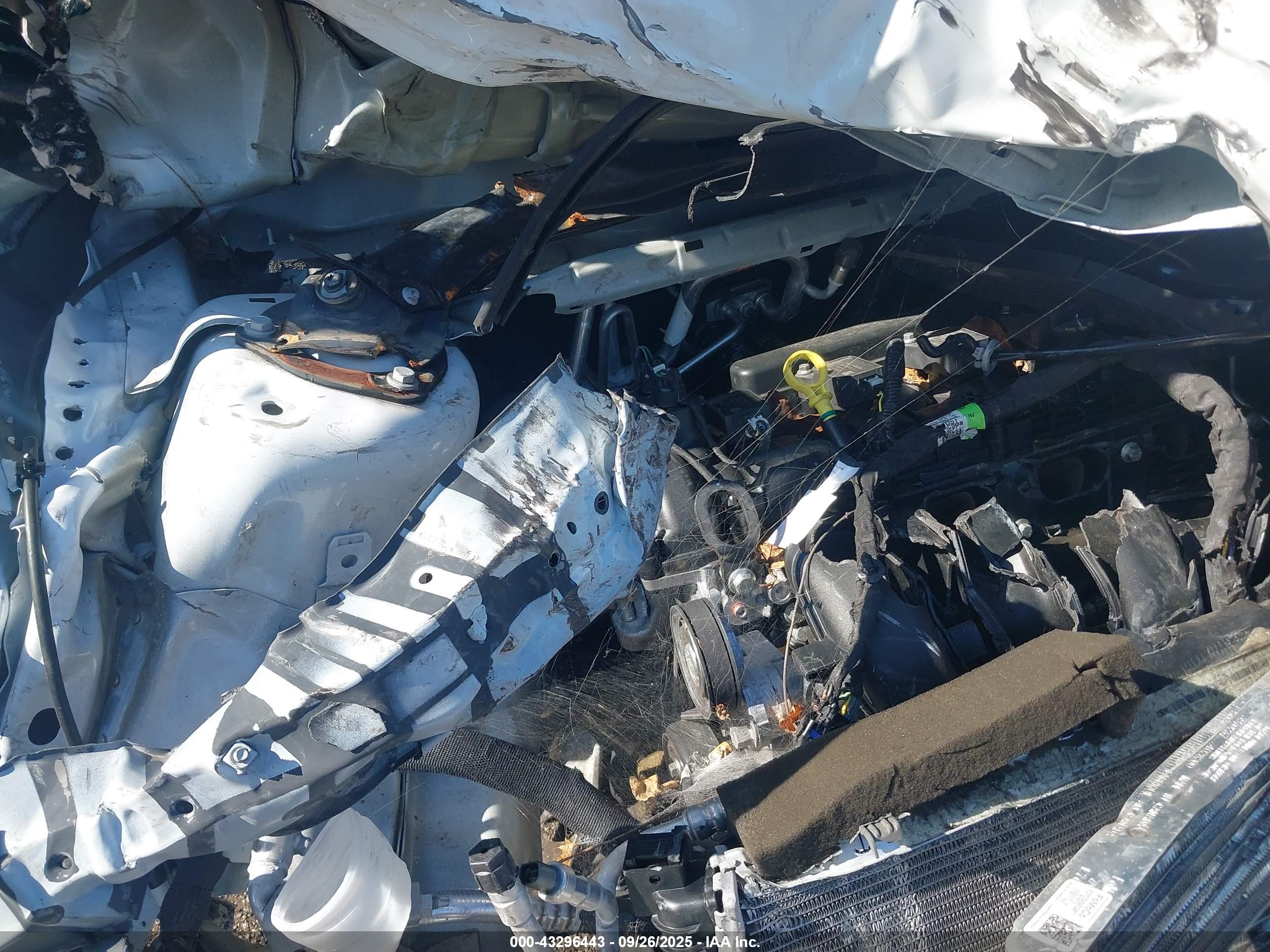 FORD TRANSIT image 10