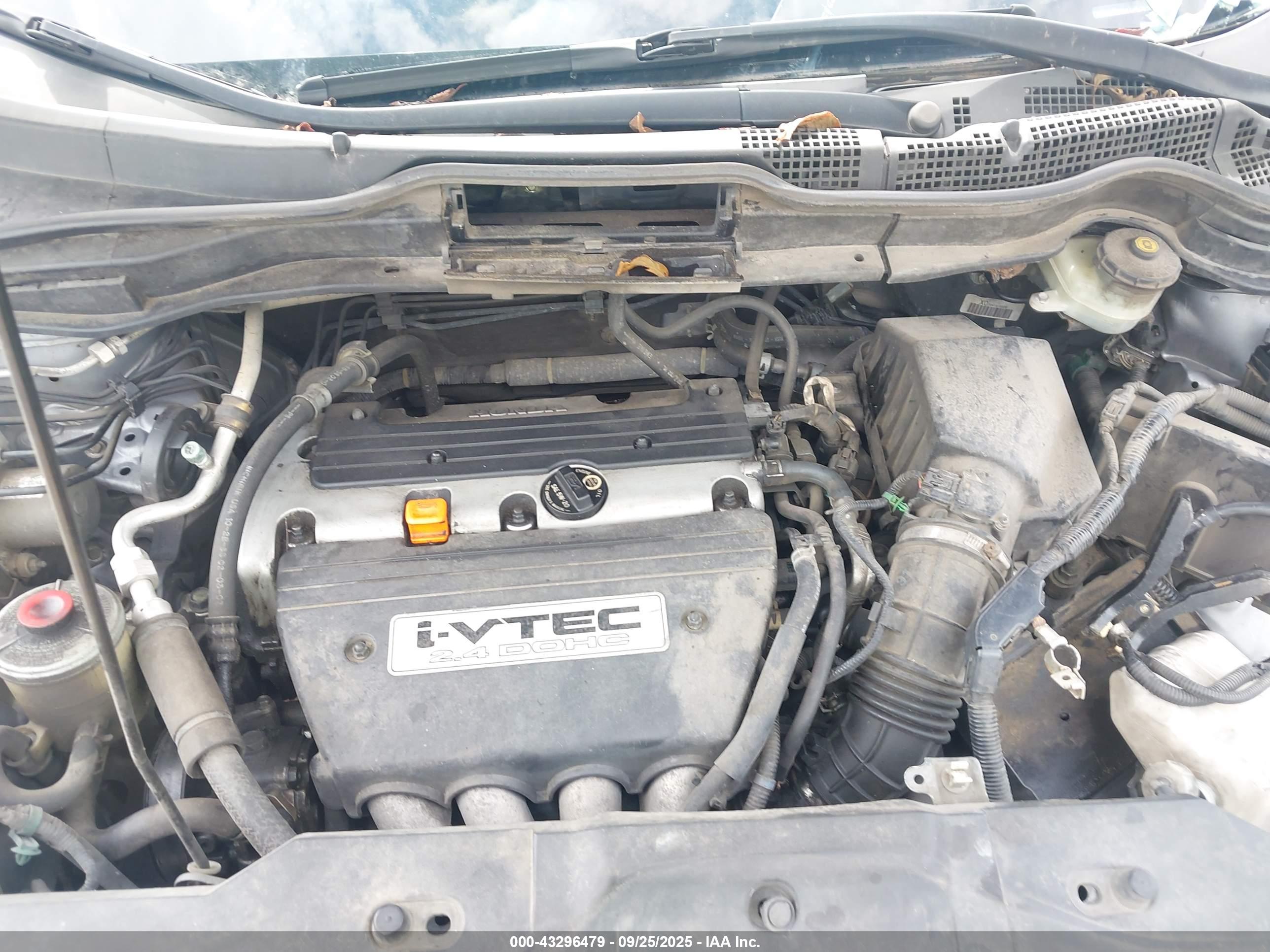 HONDA CR-V image 10