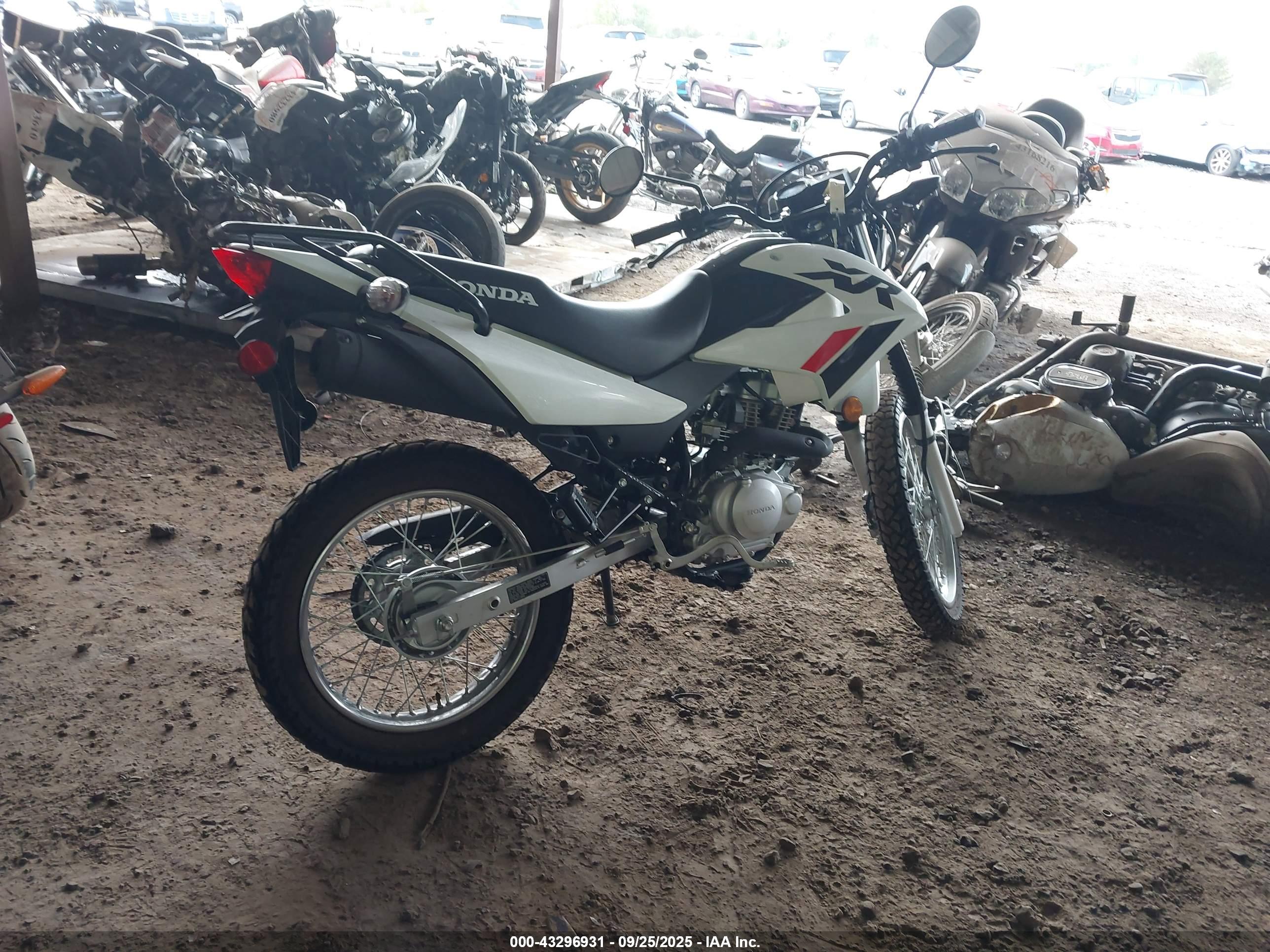 HONDA XR150L image 4