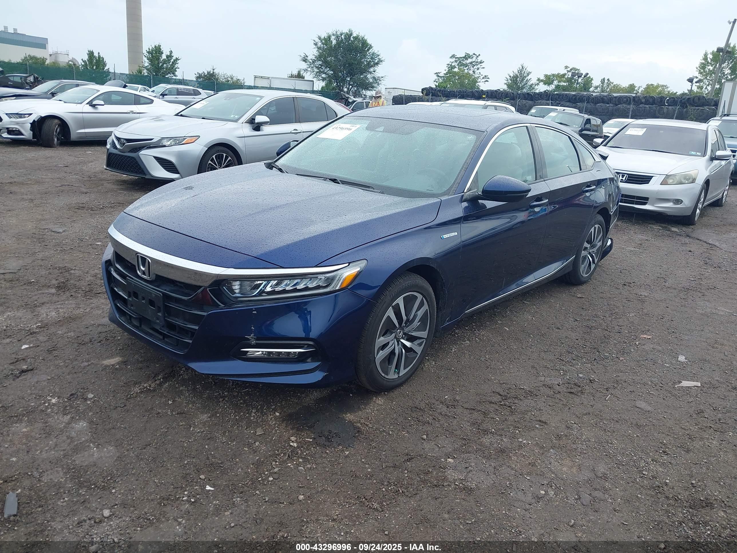 HONDA ACCORD image 2
