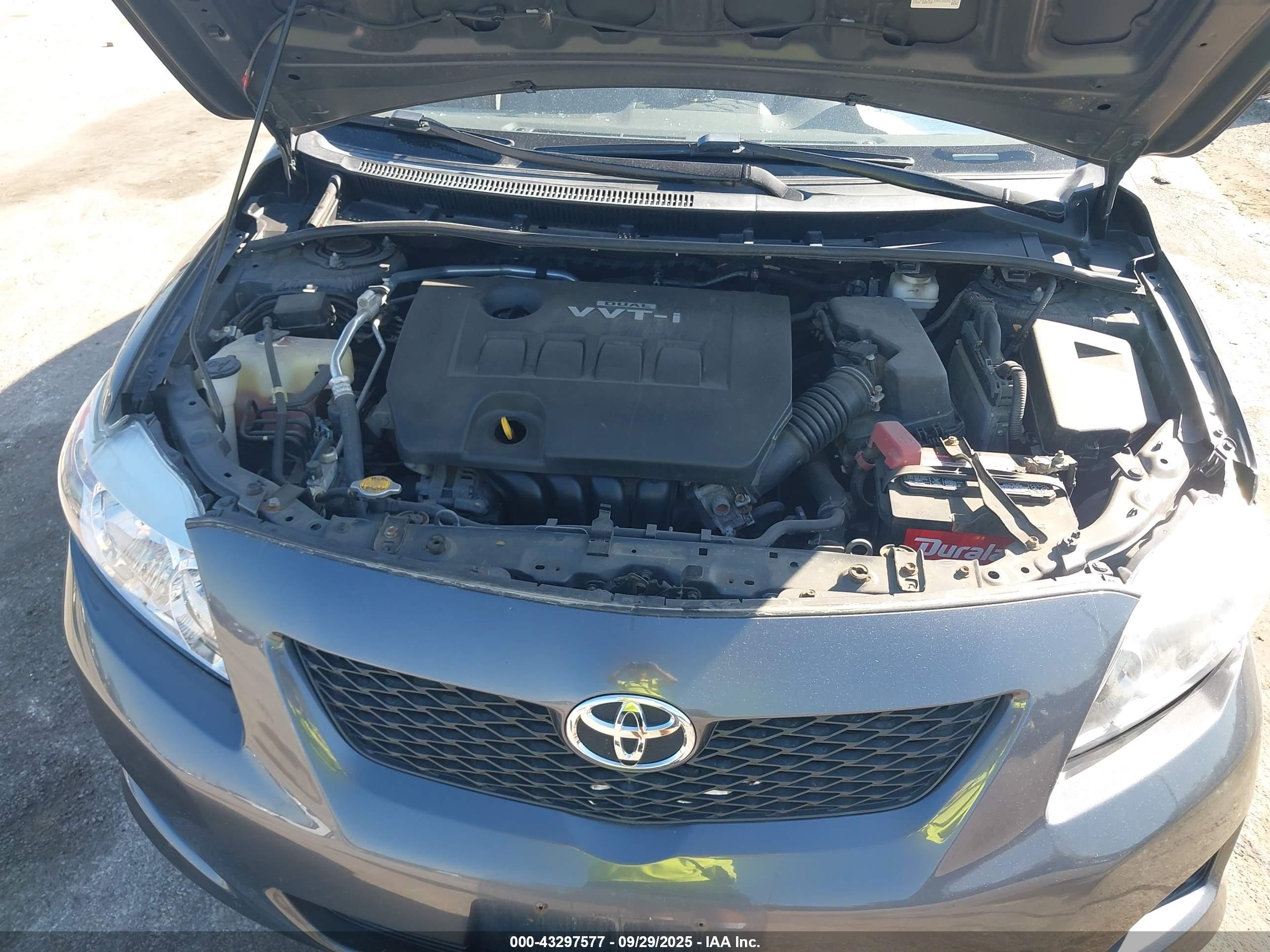 TOYOTA COROLLA image 10