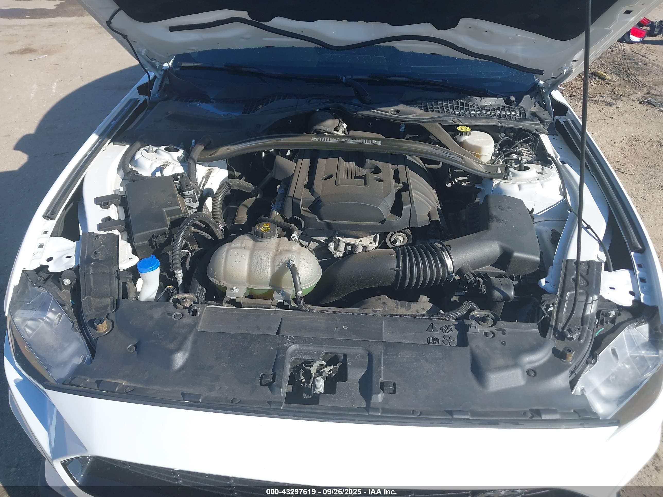 FORD MUSTANG image 10