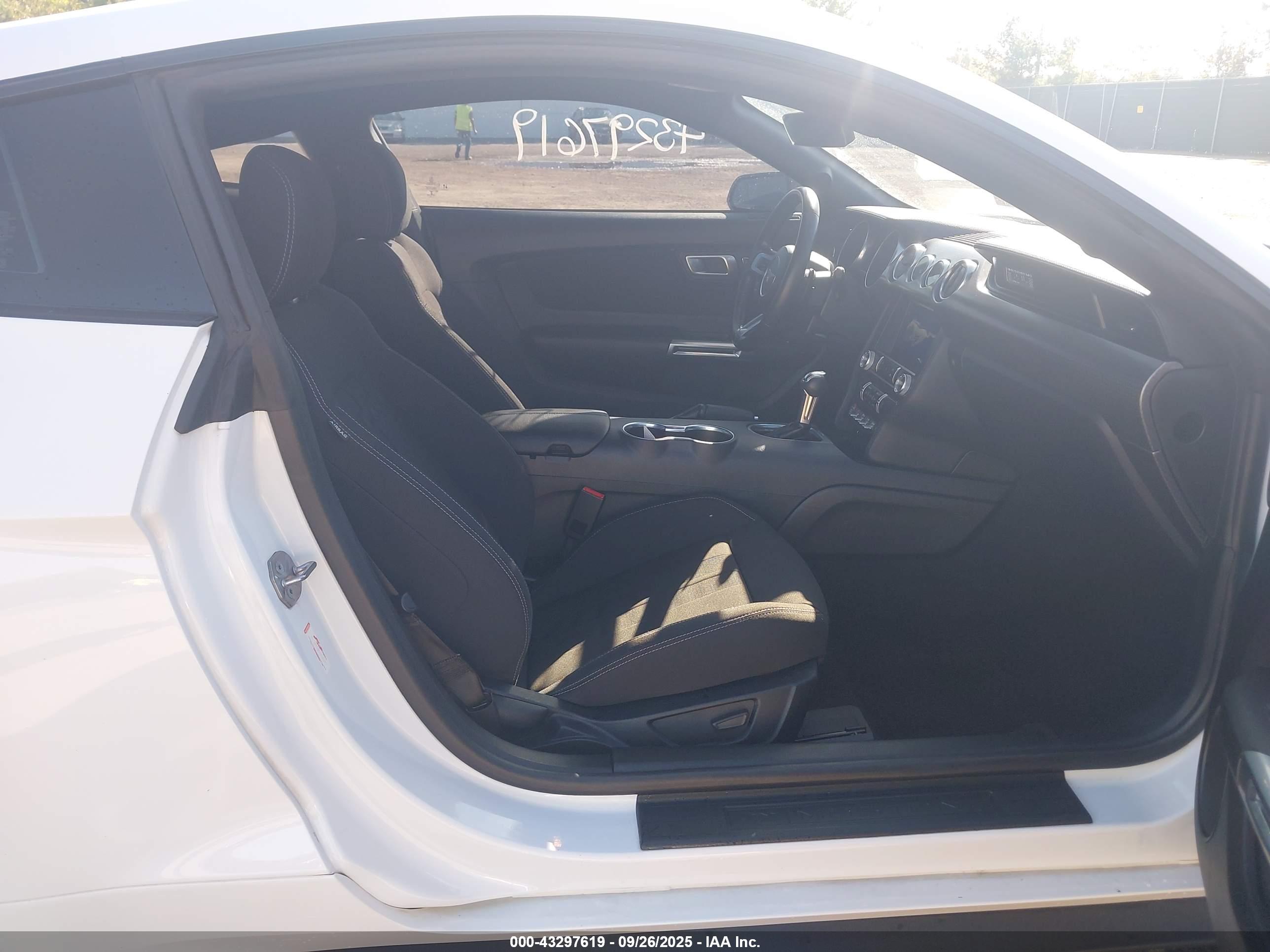 FORD MUSTANG image 5