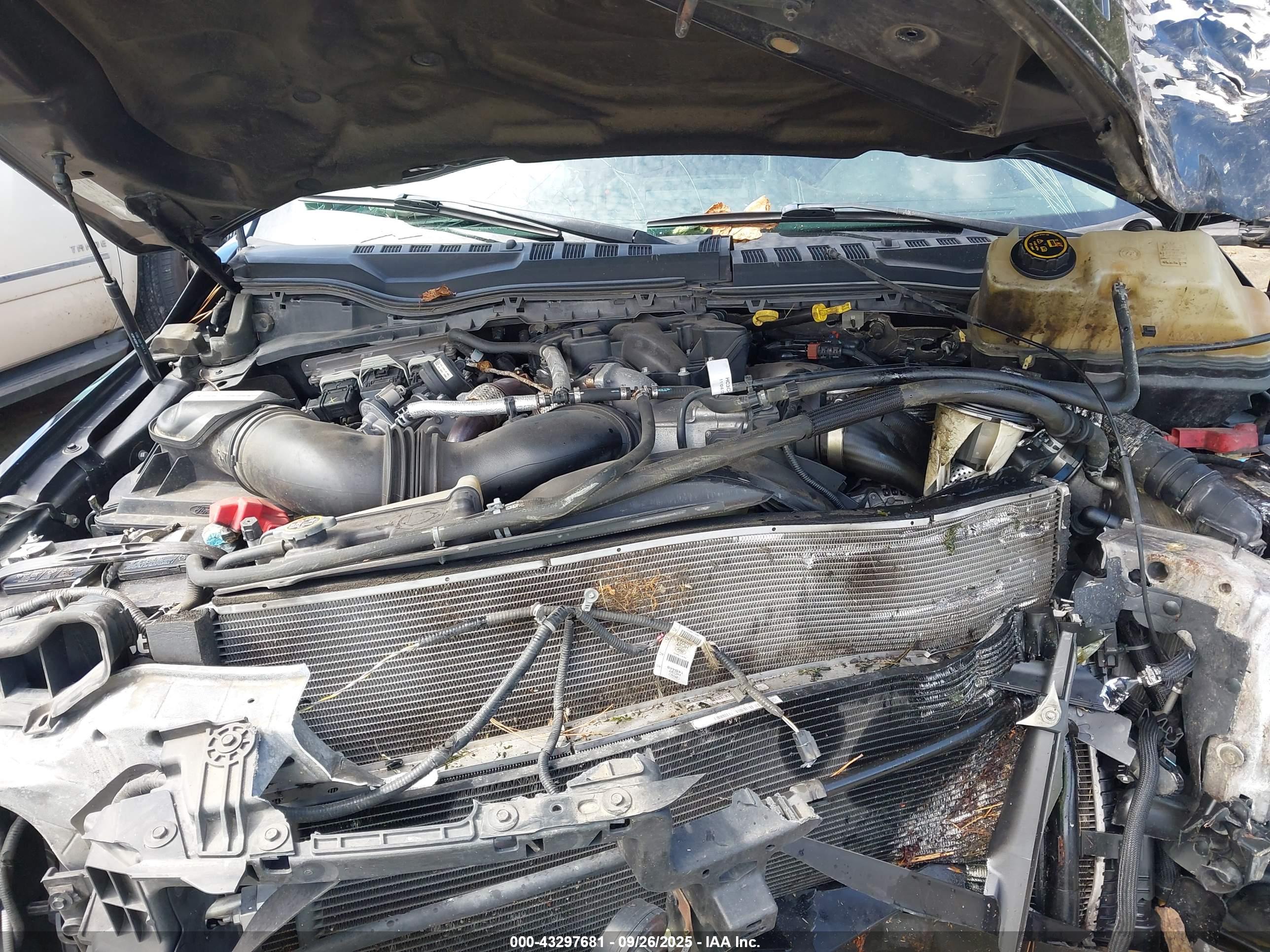 FORD F-250 image 10