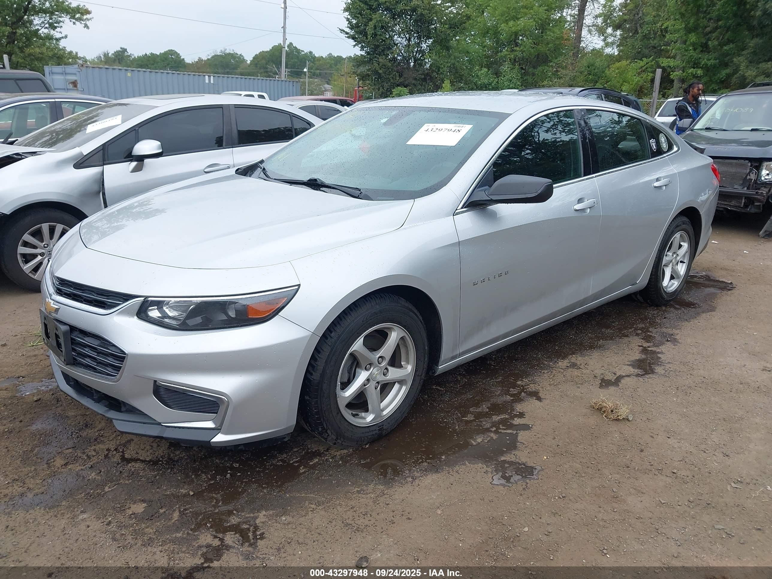 CHEVROLET MALIBU image 2