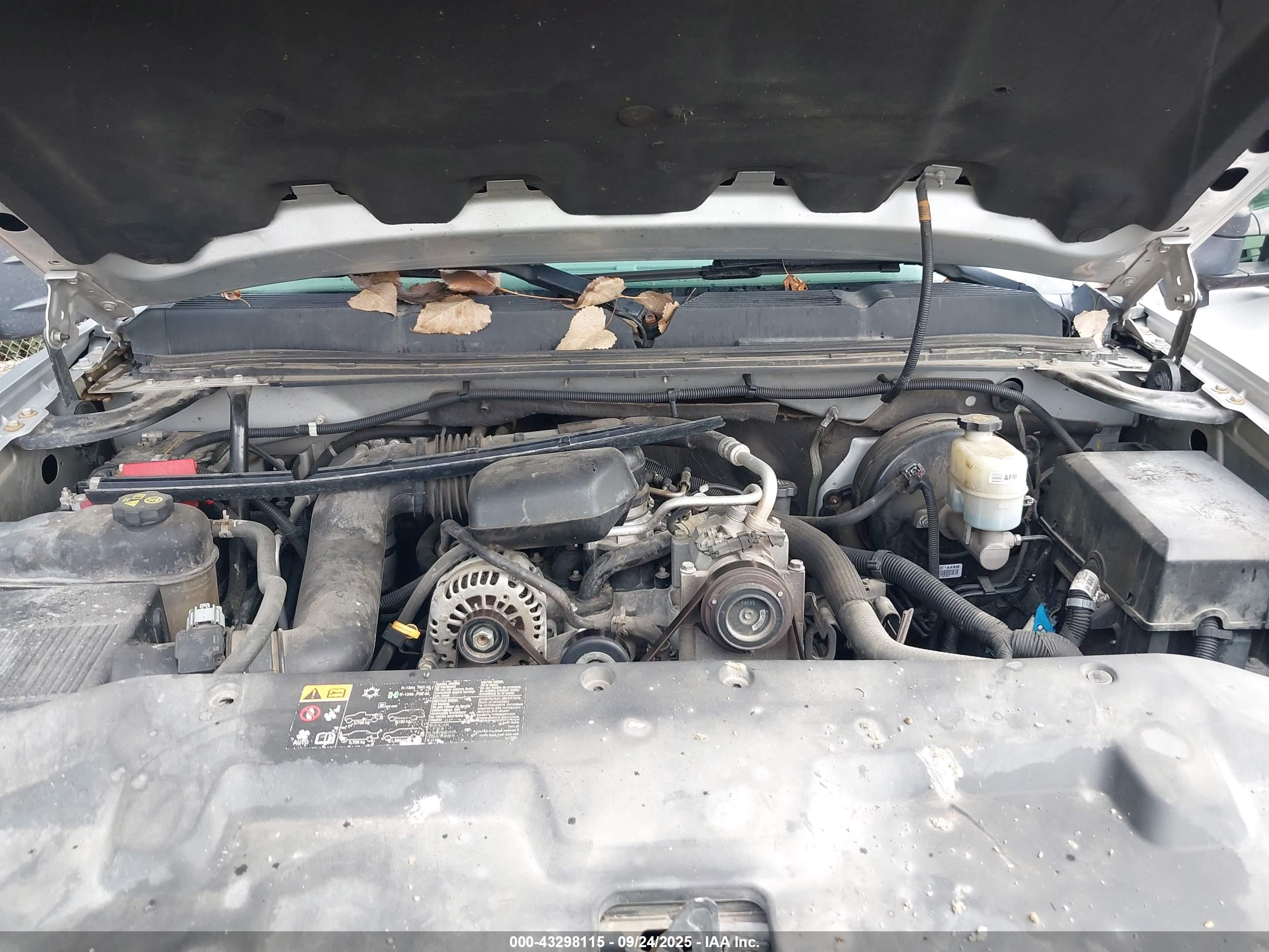 CHEVROLET SILVERADO image 10