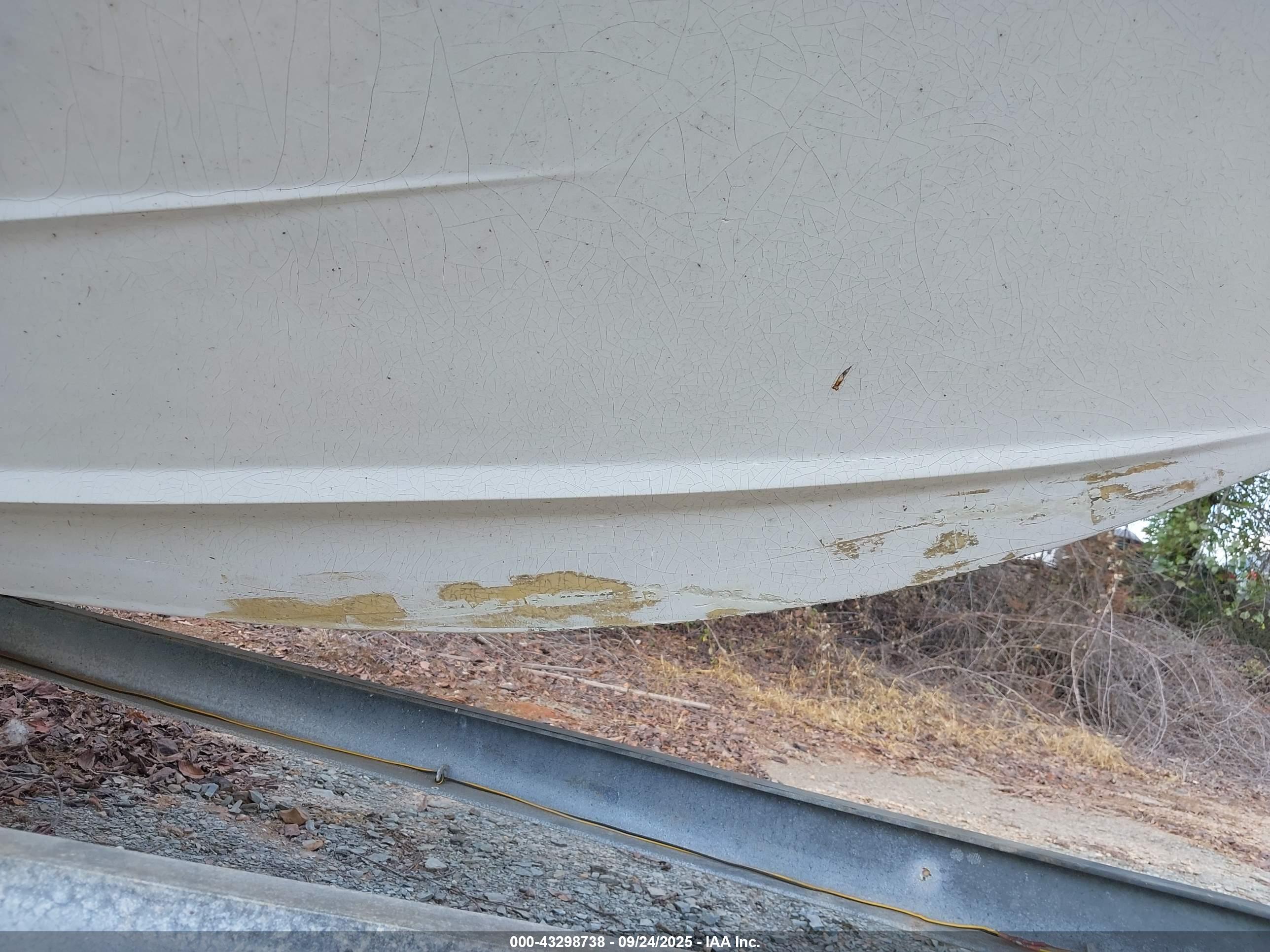 BOSTON WHALER image 6
