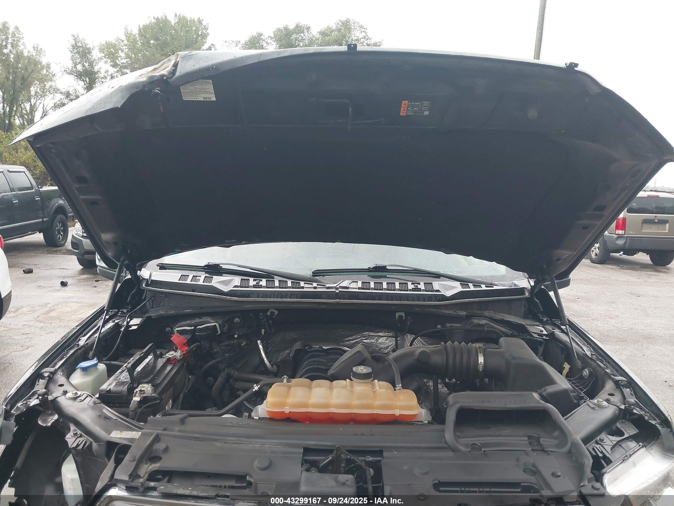 FORD F-150 image 10