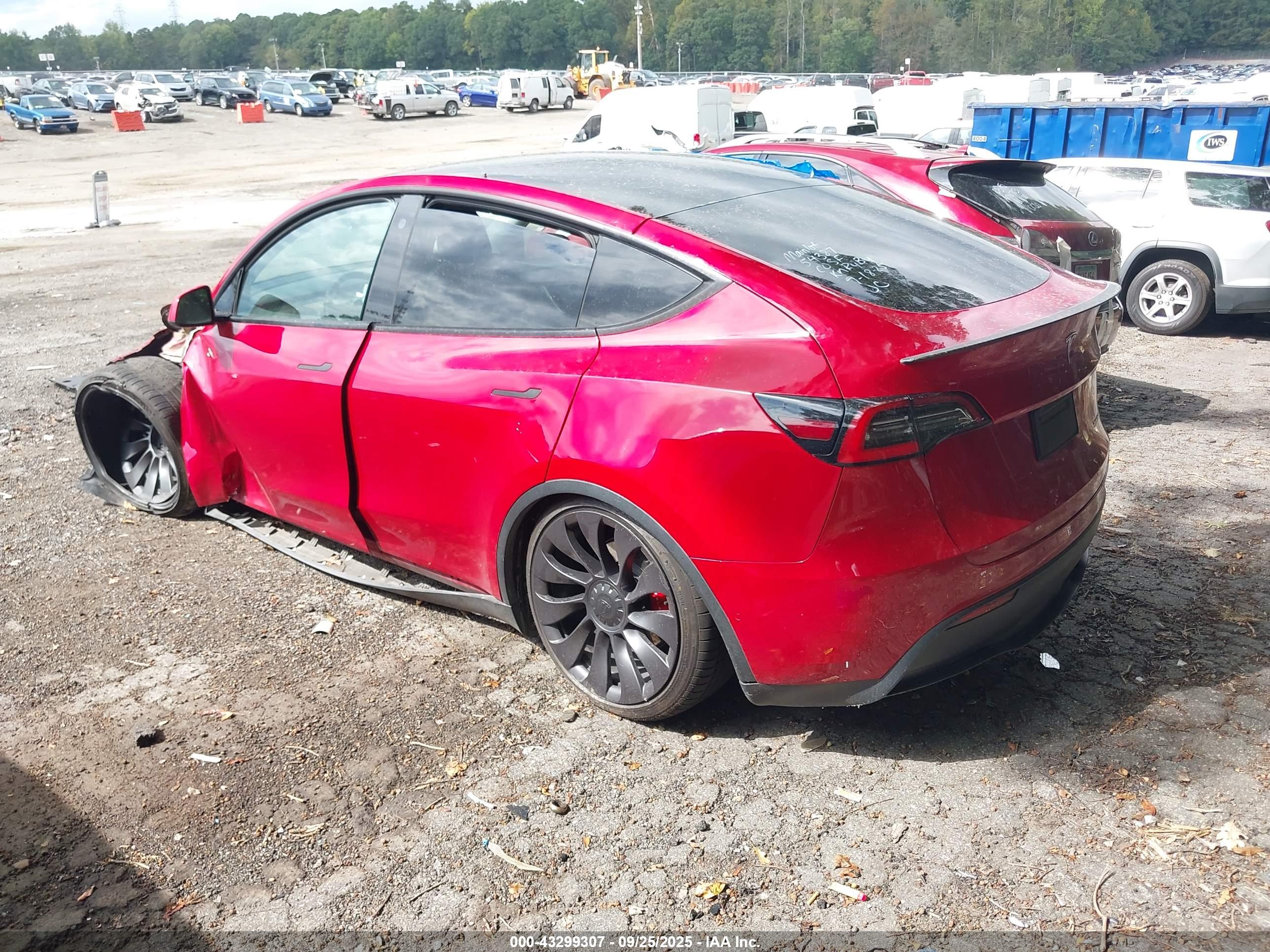 TESLA MODEL image 3