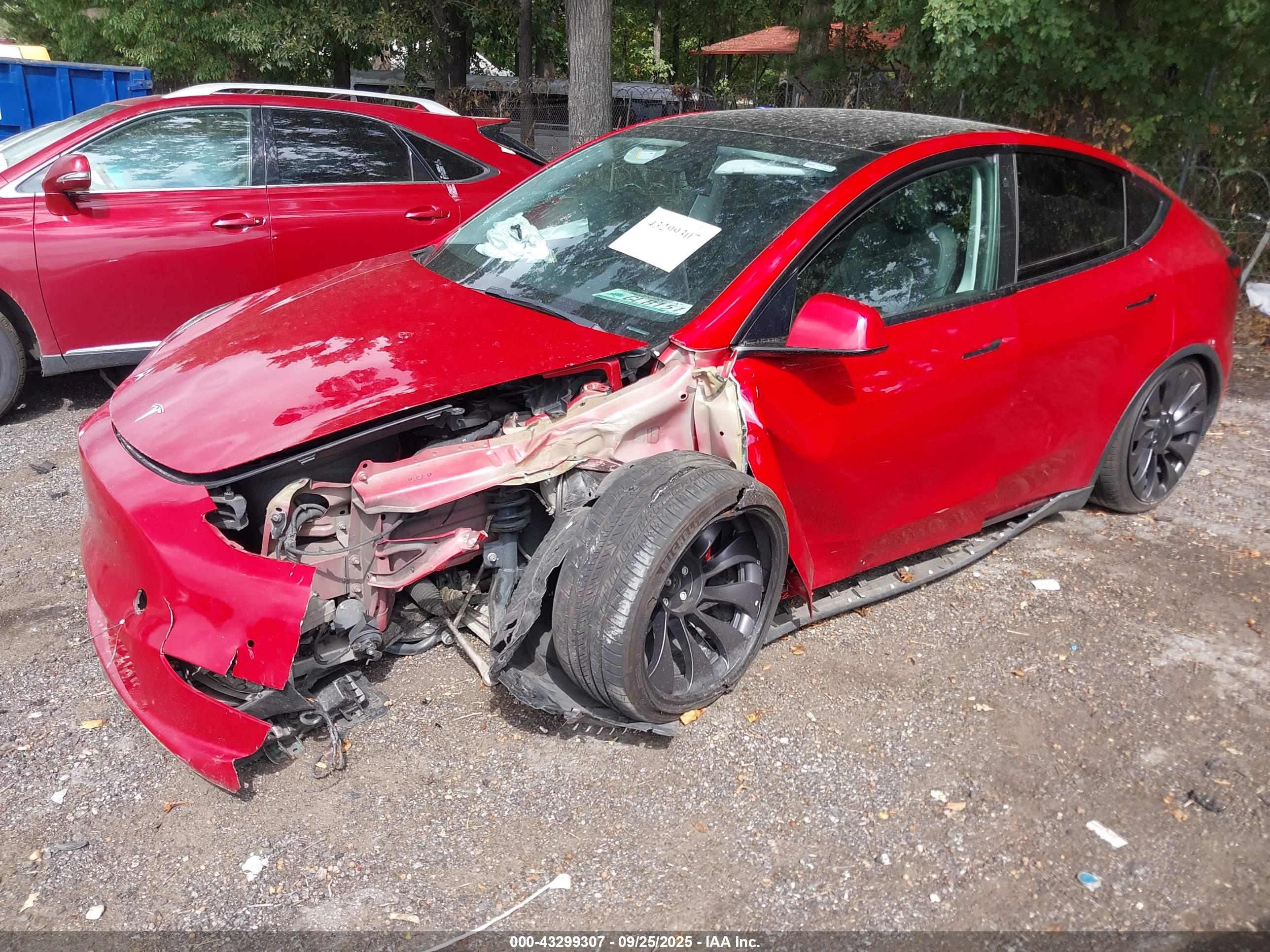 TESLA MODEL image 6