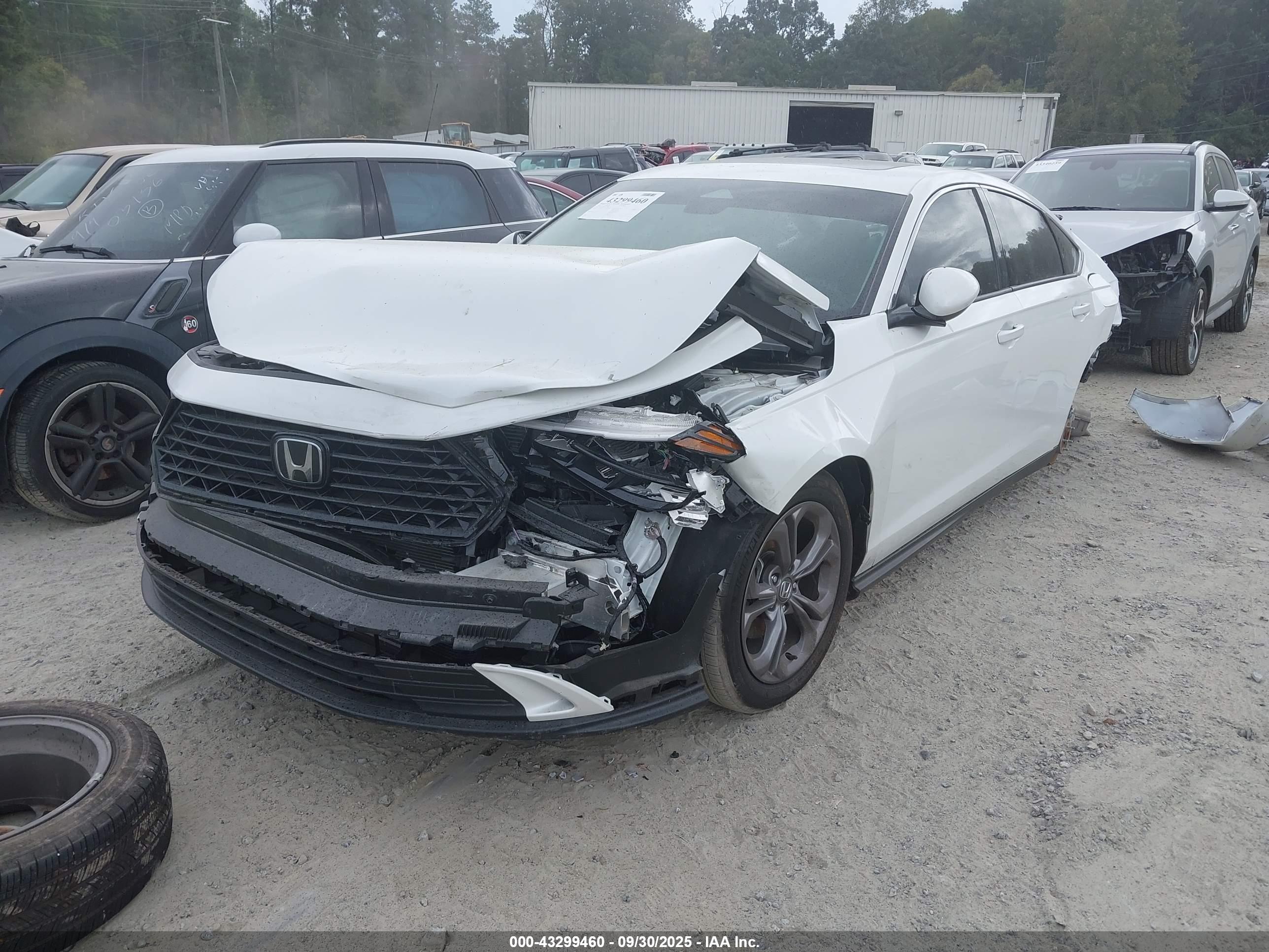 HONDA ACCORD image 2